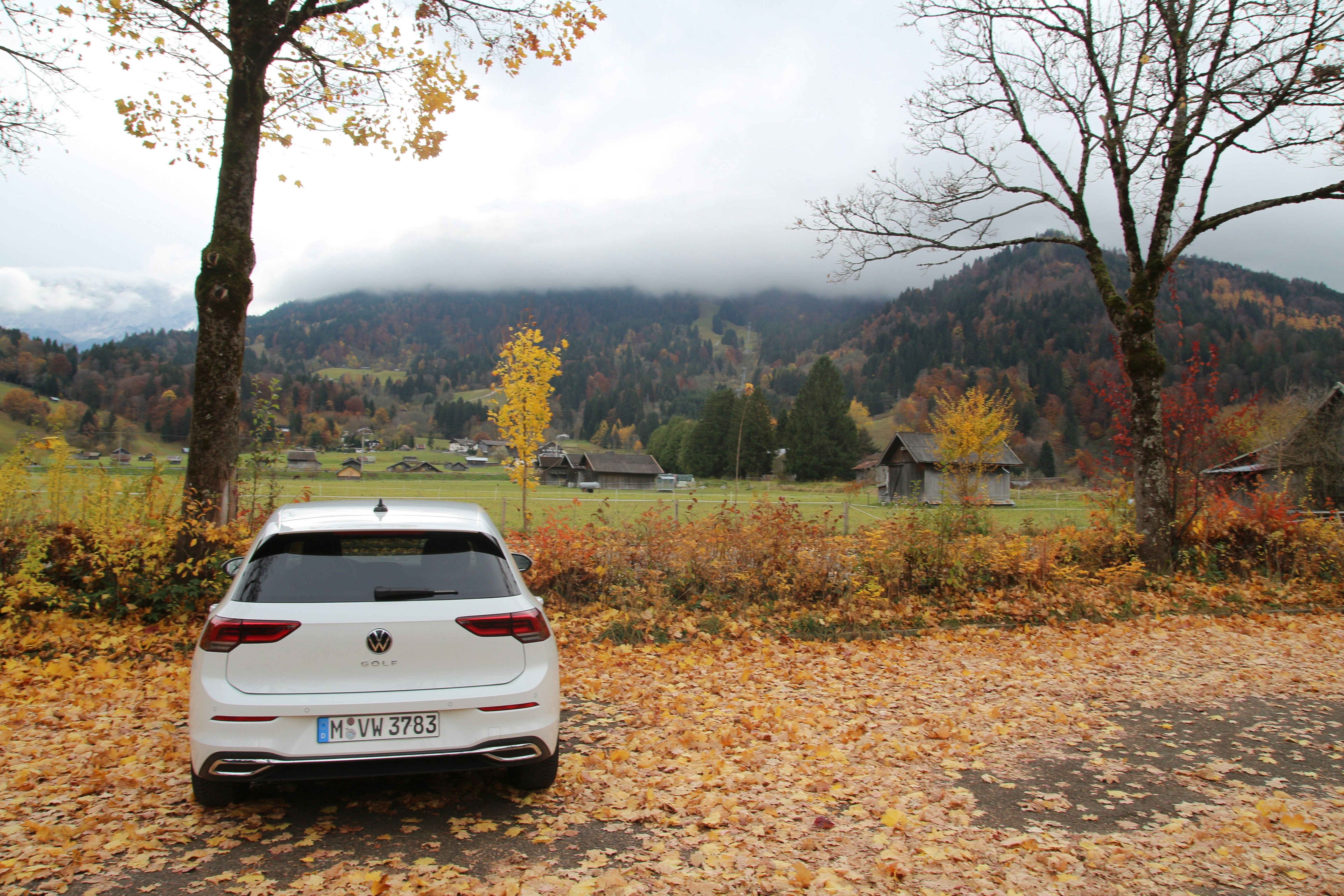 A white car parked in a field next to trees