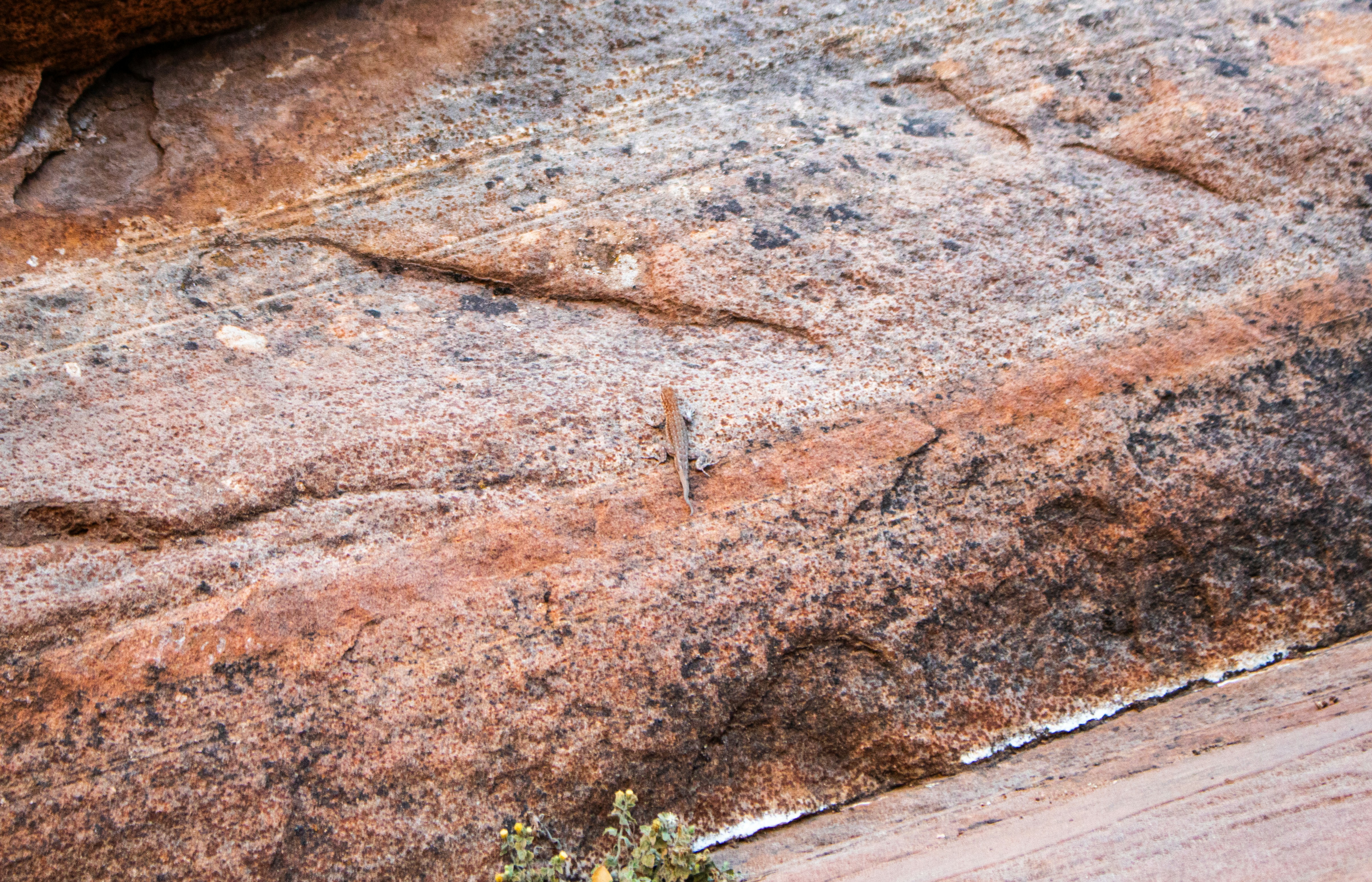 Photo by zoshuacolah