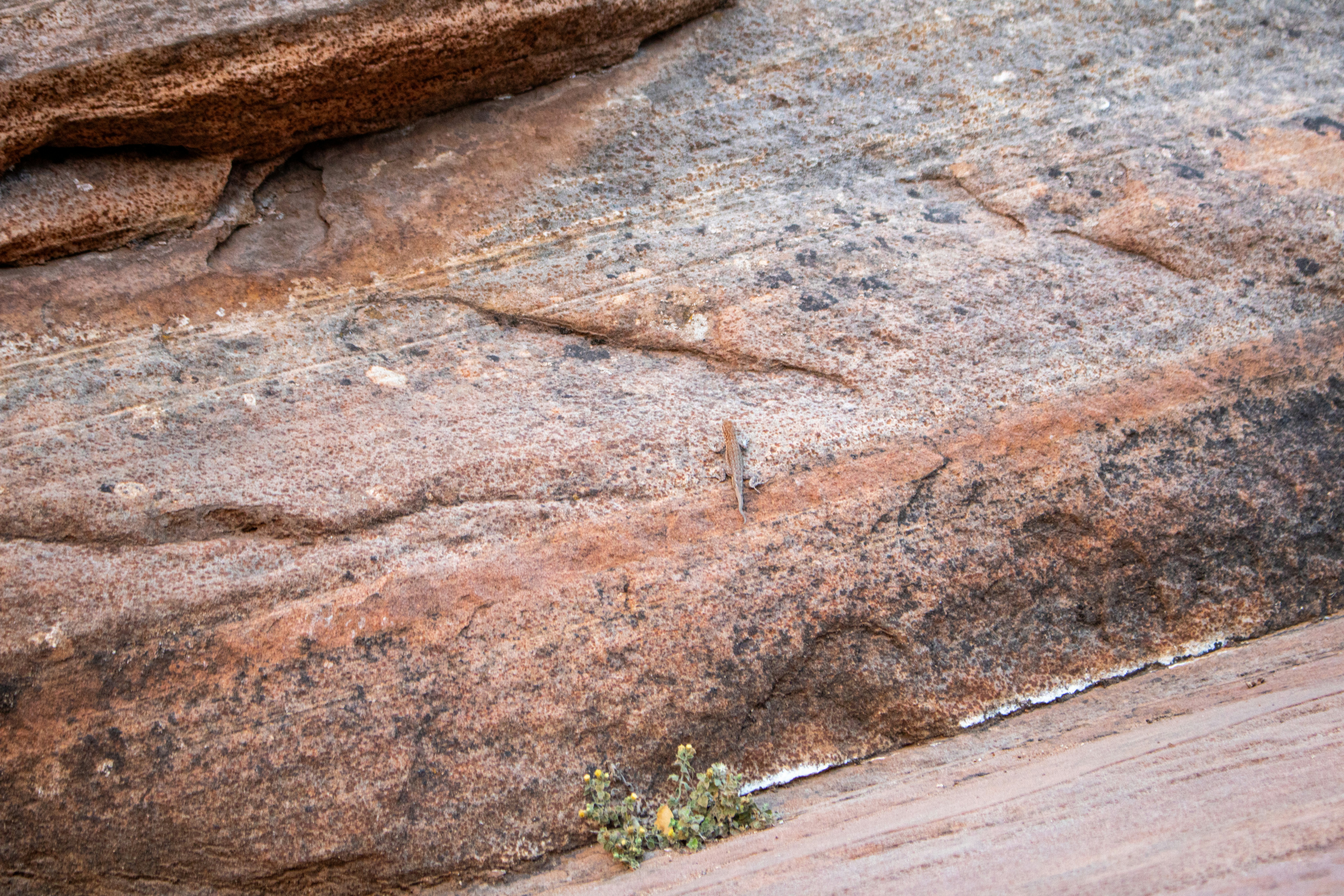 Photo by zoshuacolah