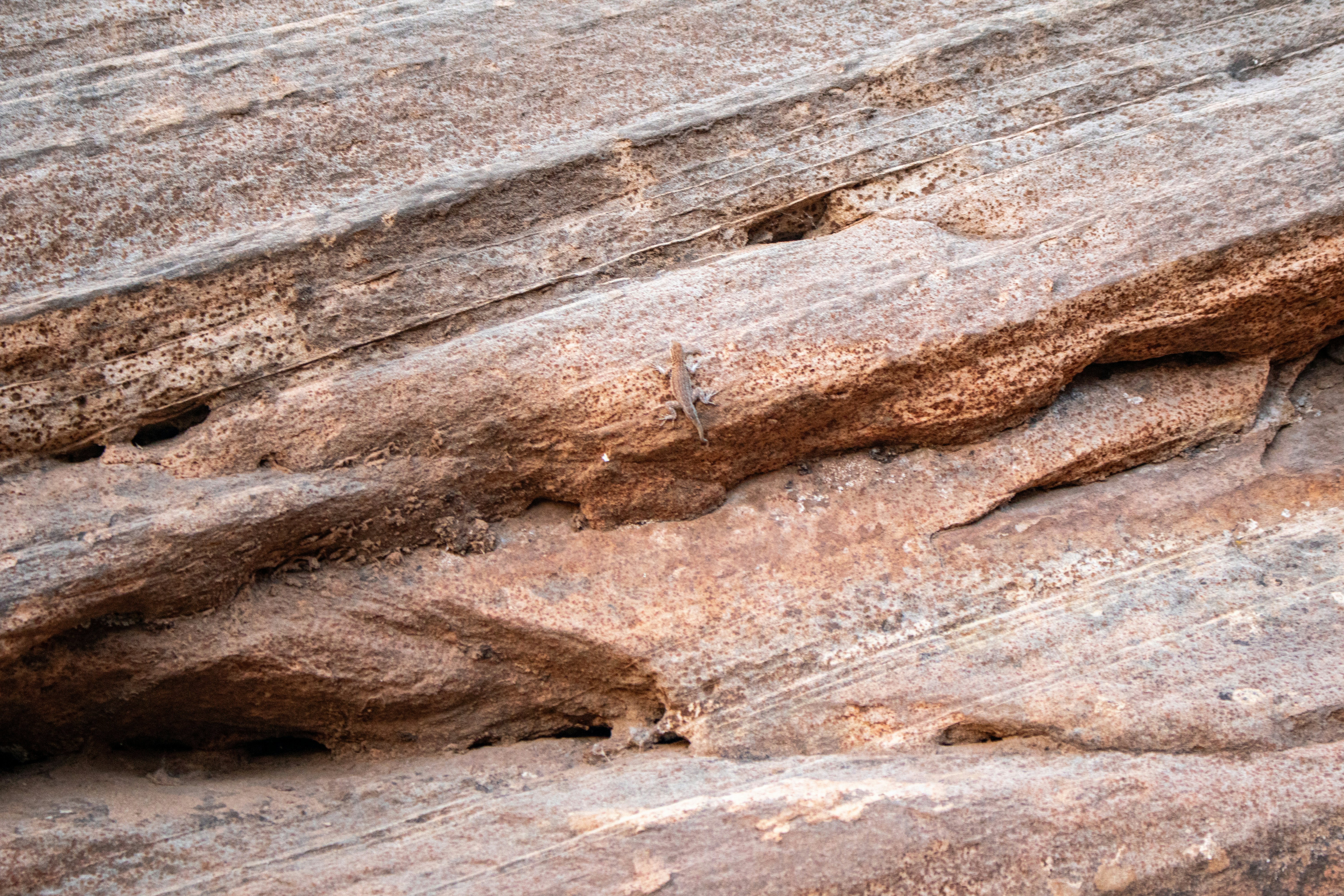 Photo by zoshuacolah