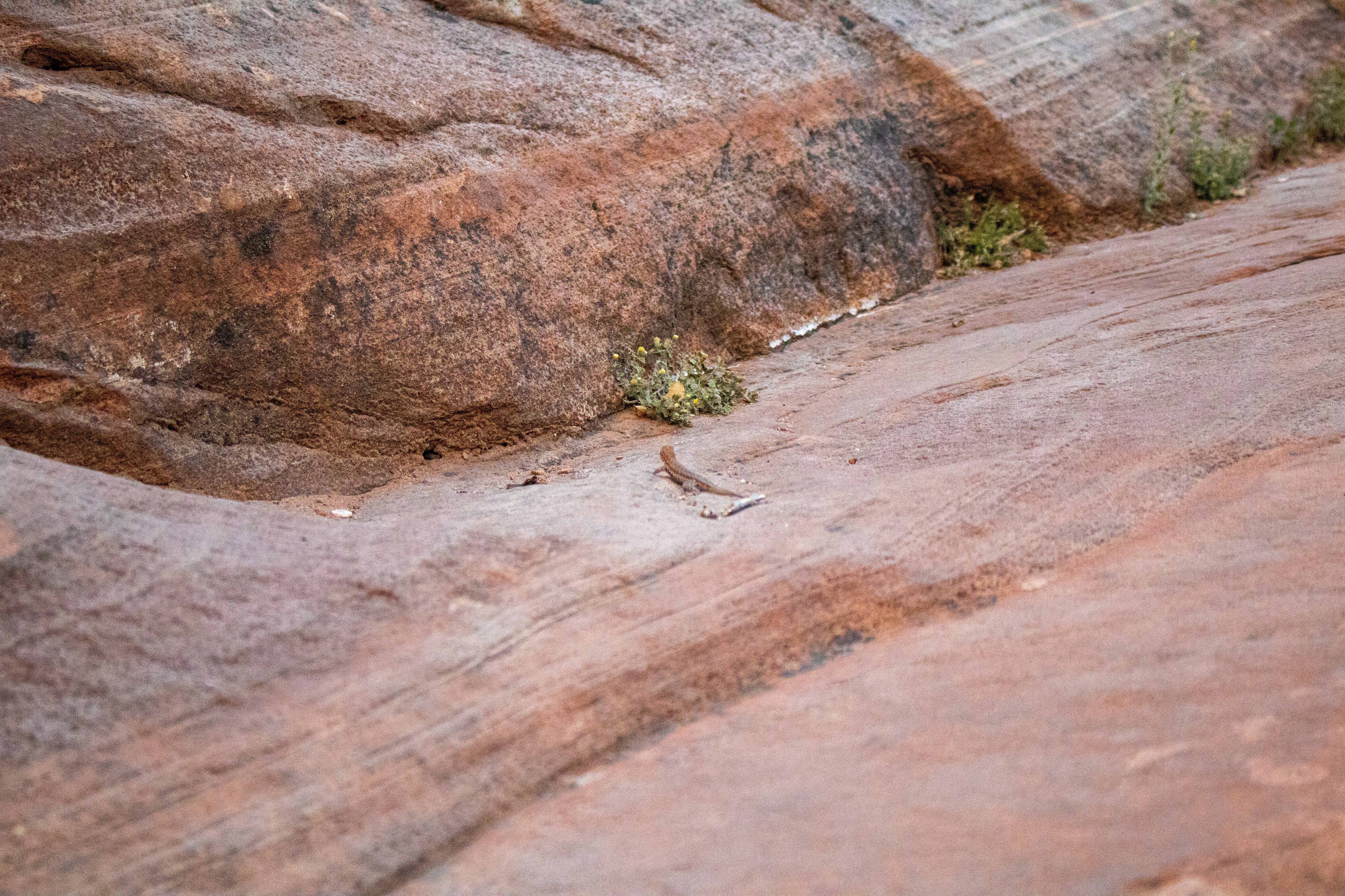 Photo by zoshuacolah