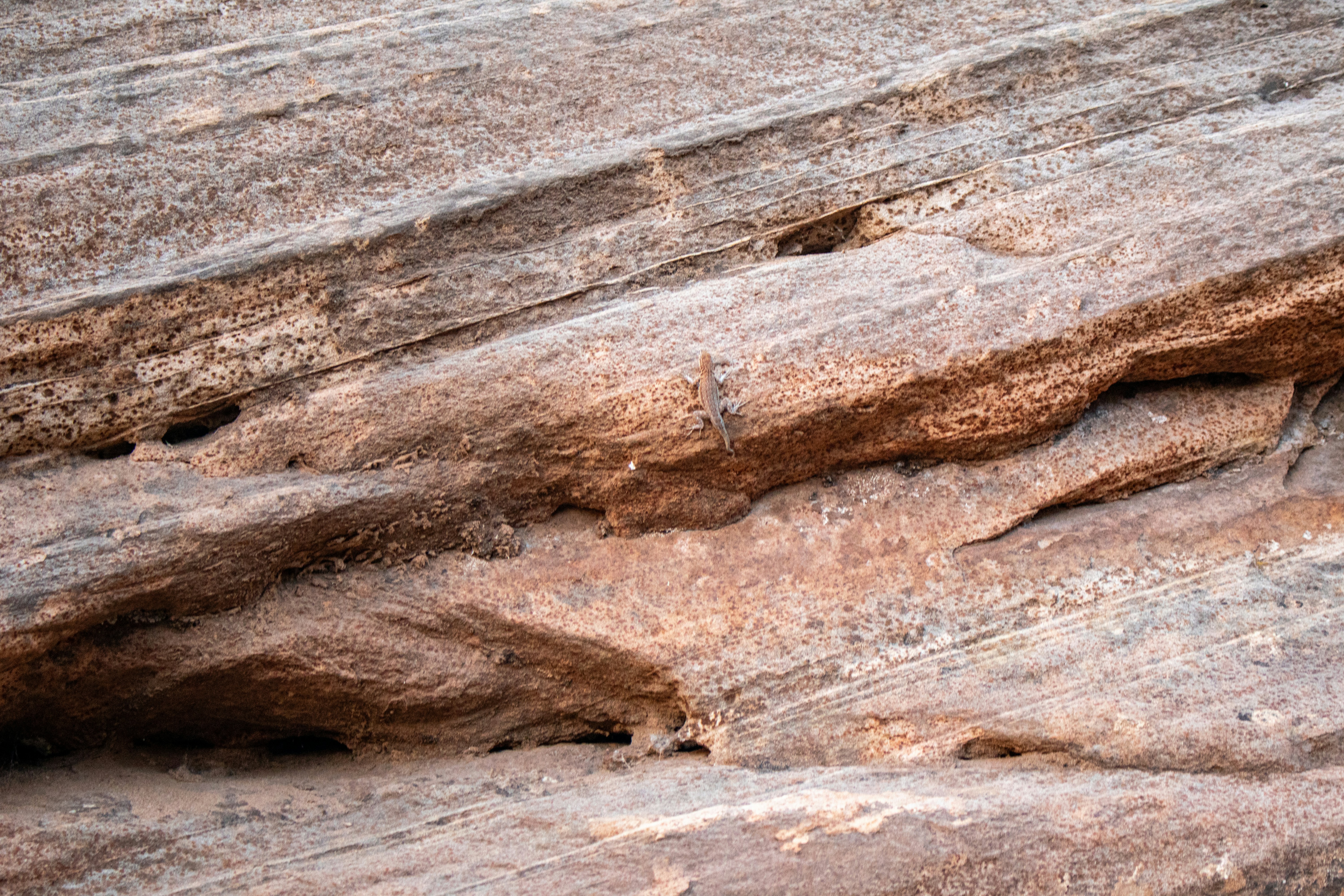 Photo by zoshuacolah