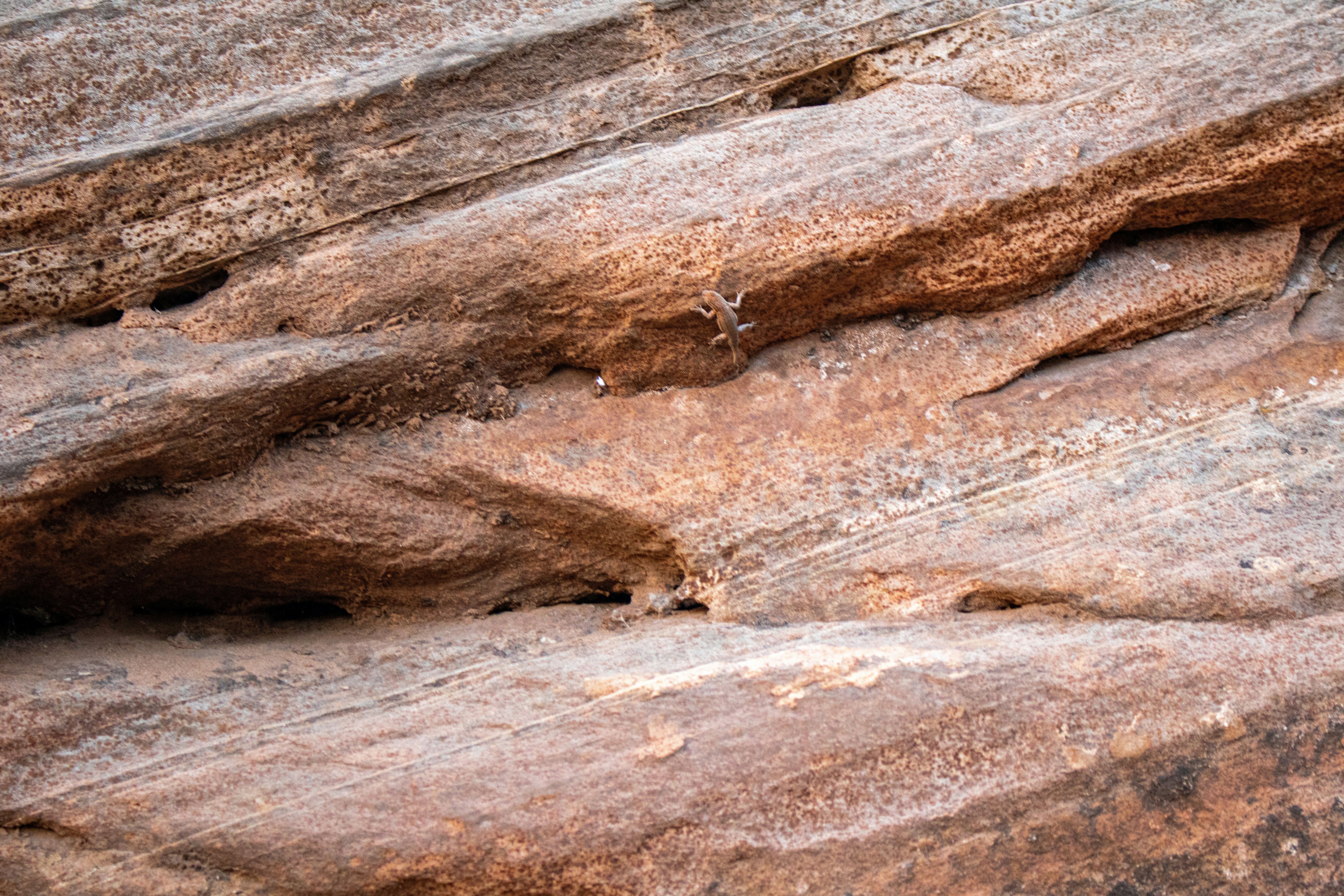 Photo by zoshuacolah