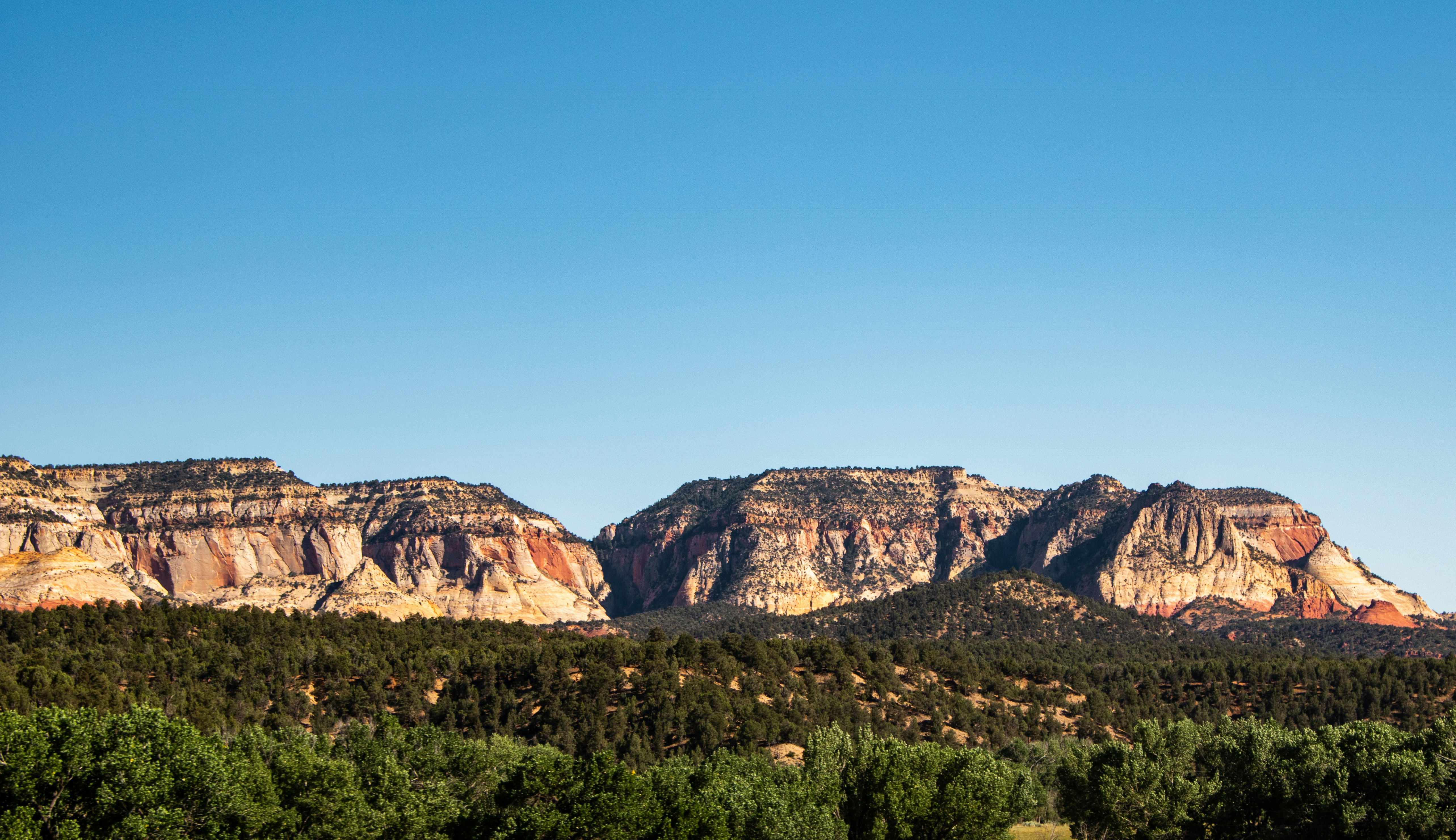 Photo by zoshuacolah