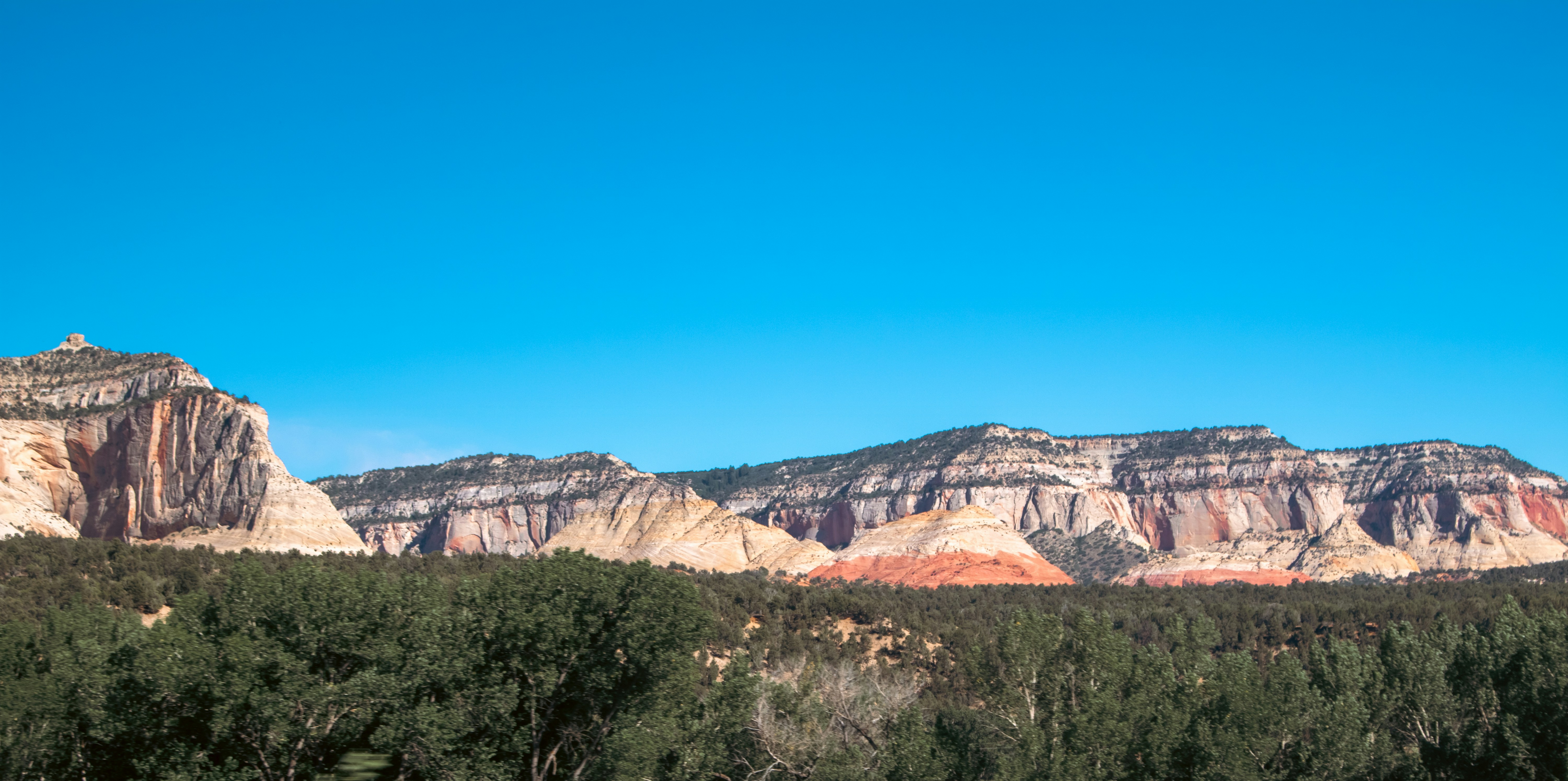 Photo by zoshuacolah