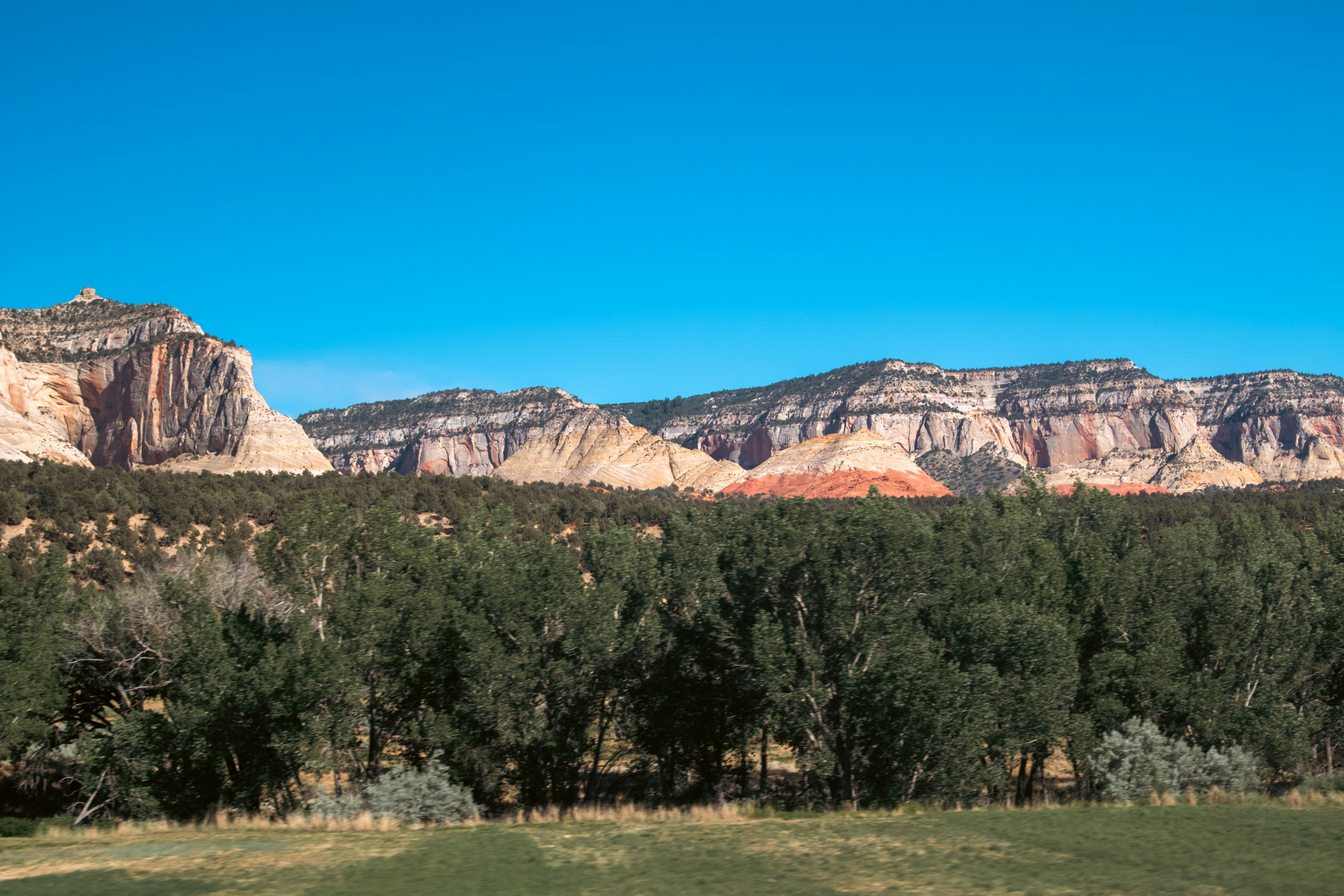 Photo by zoshuacolah