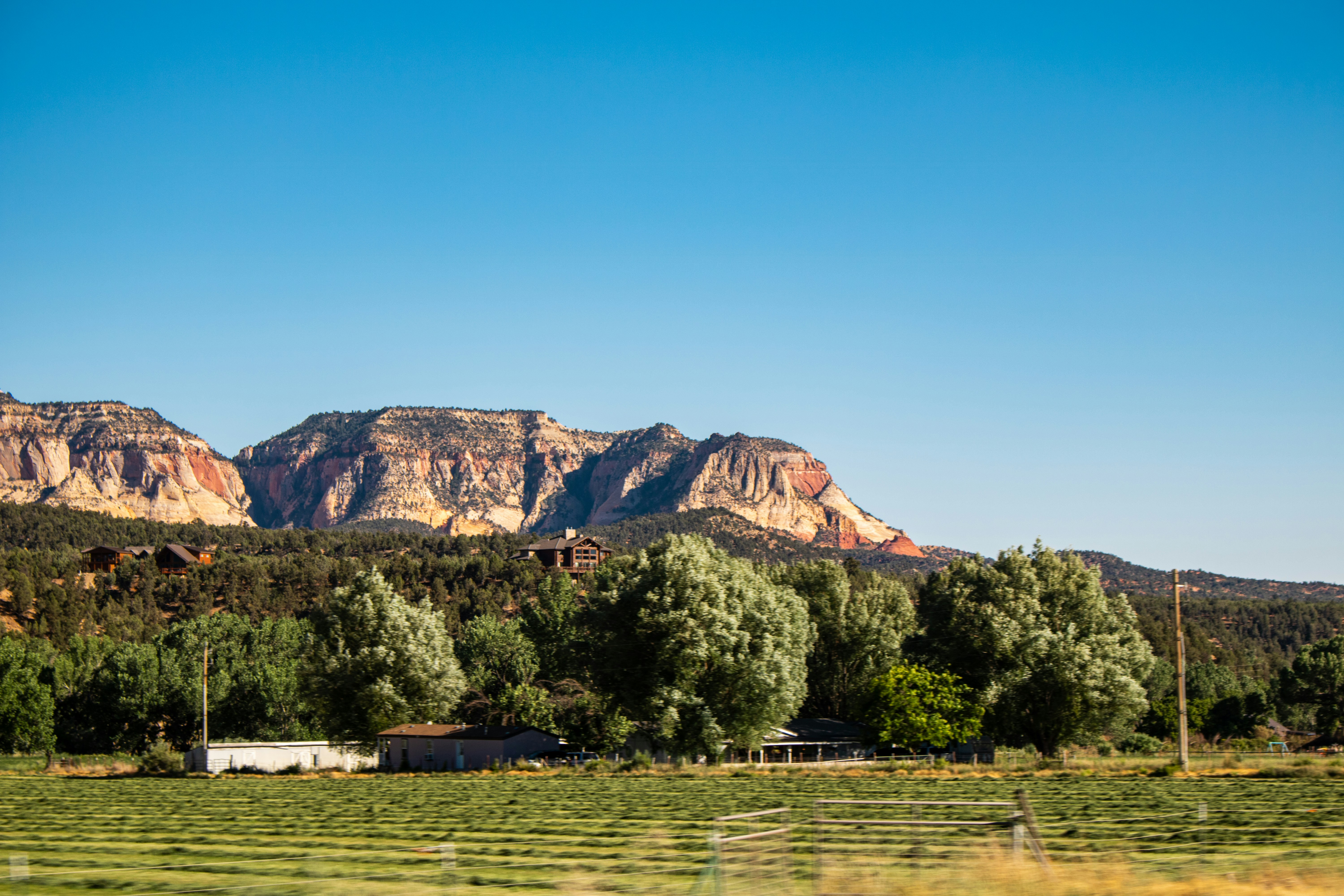 Photo by zoshuacolah