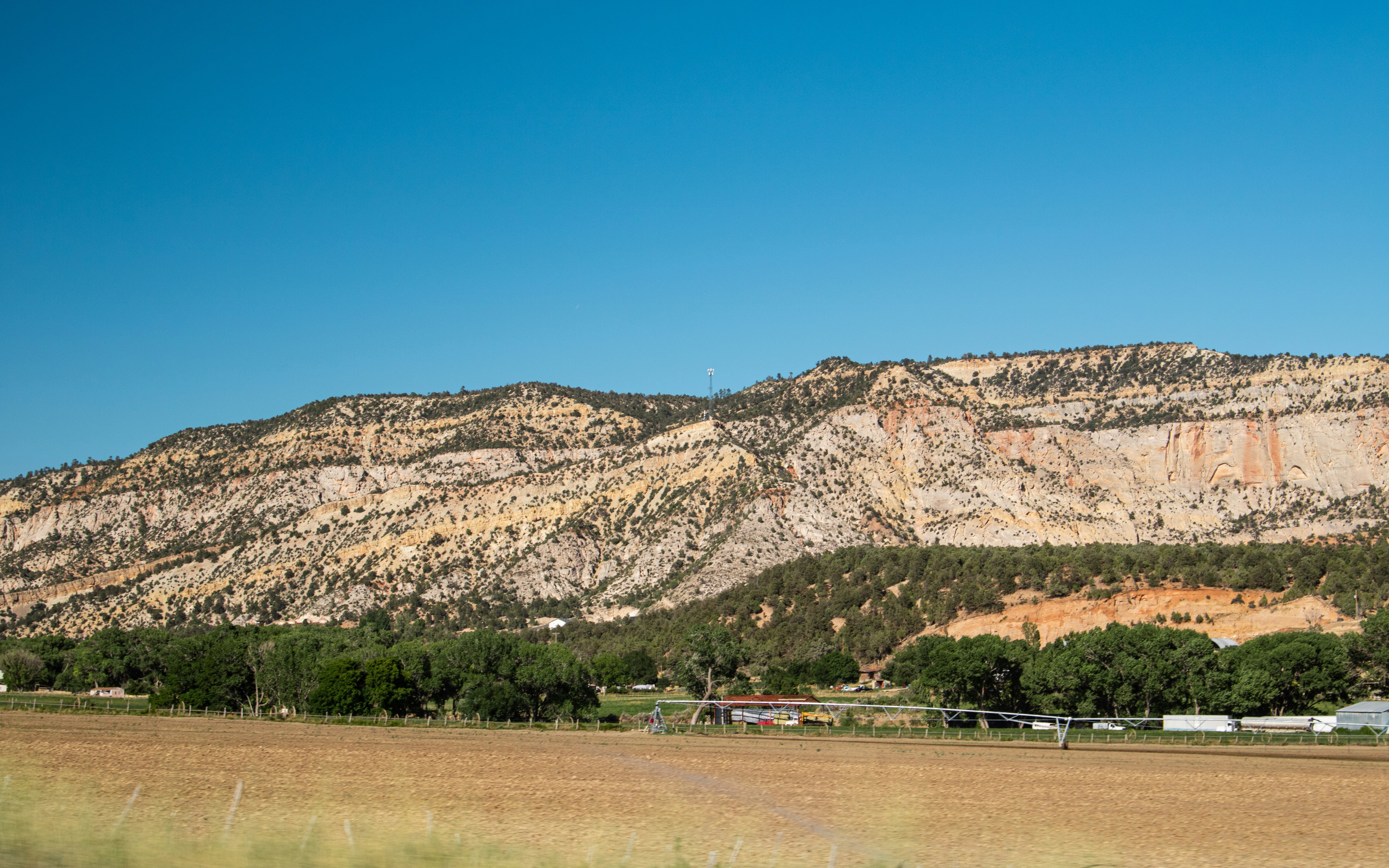 A field with a mountain in the background