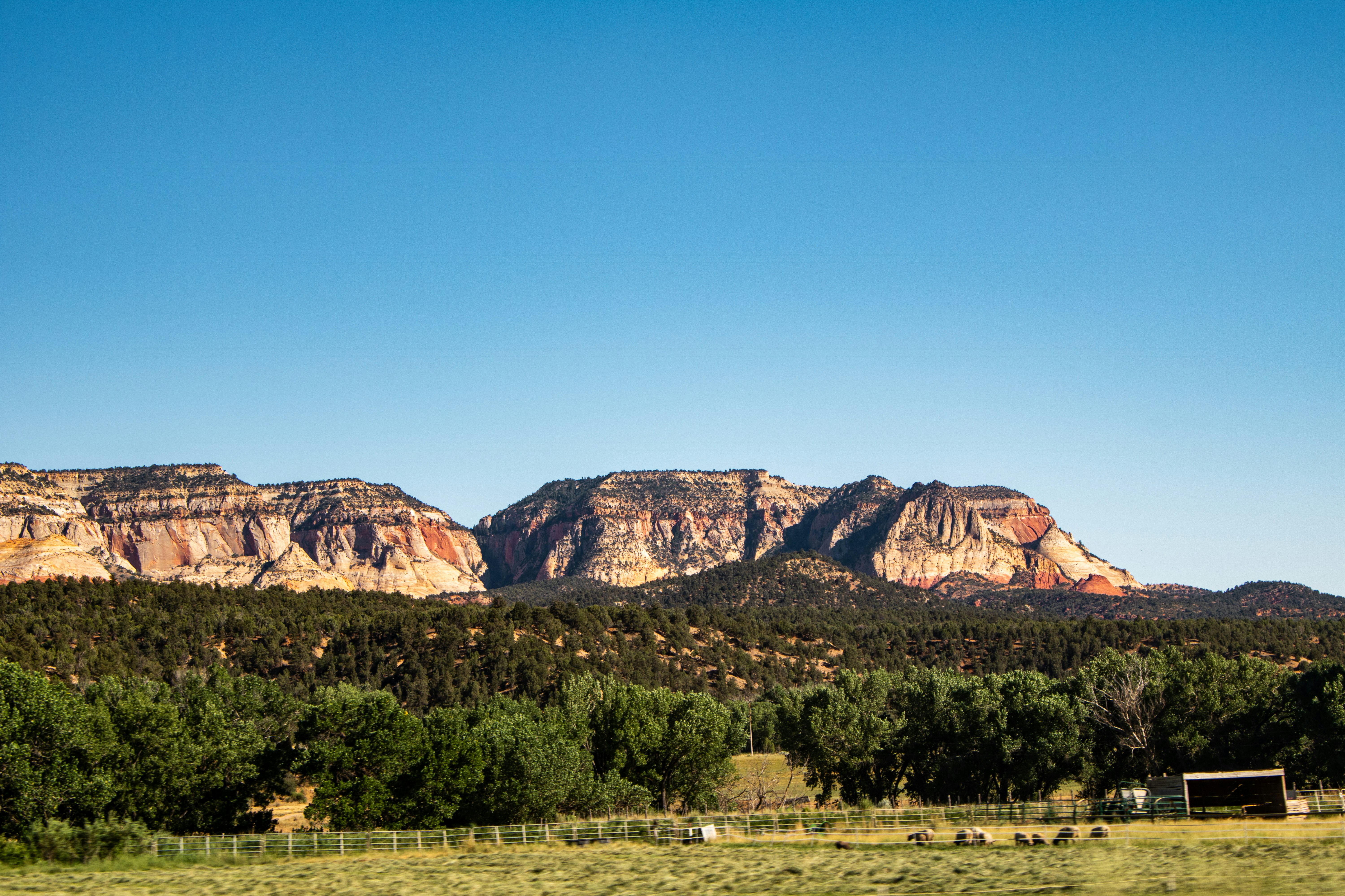 Photo by zoshuacolah