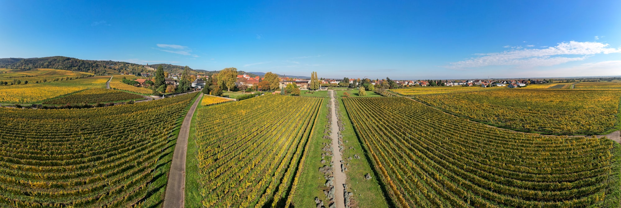 Rheinland-Pfalz Weinberge