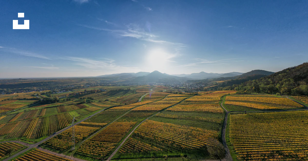 Photo Champ Le soleil brille sur un champ de cultures photo – Image gratuite de ...