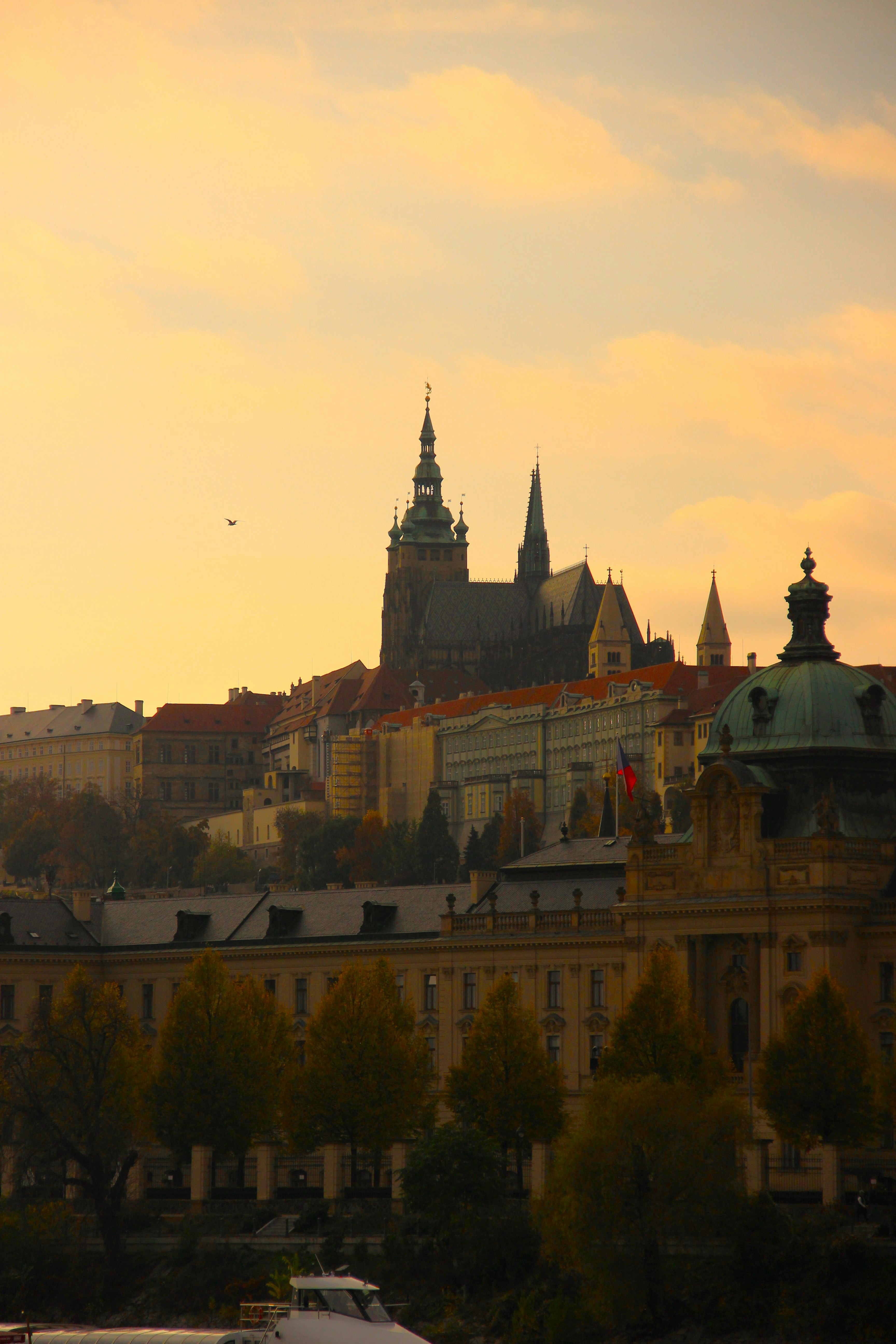 Photo by daniyarorazov