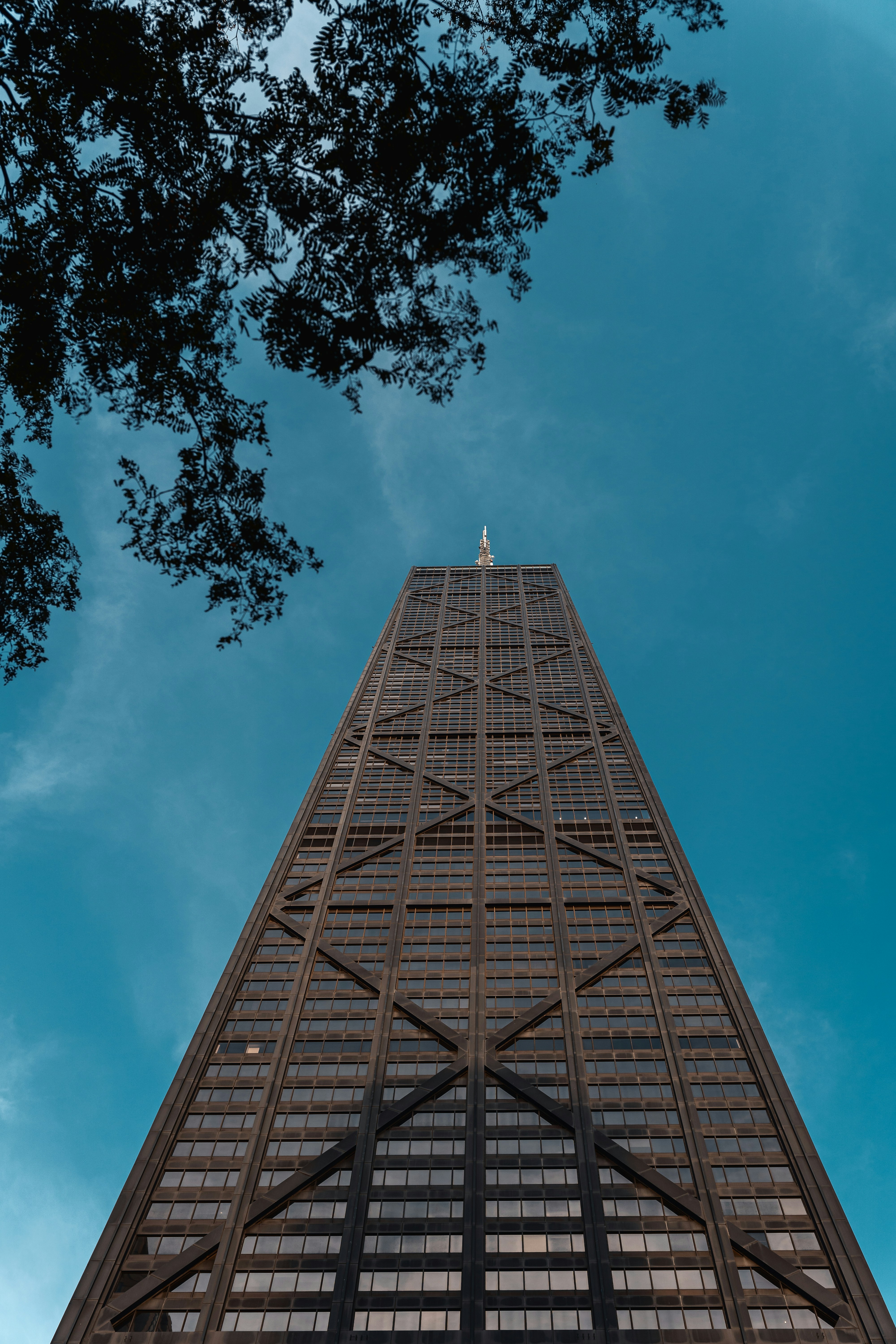 Photo by willianjusten