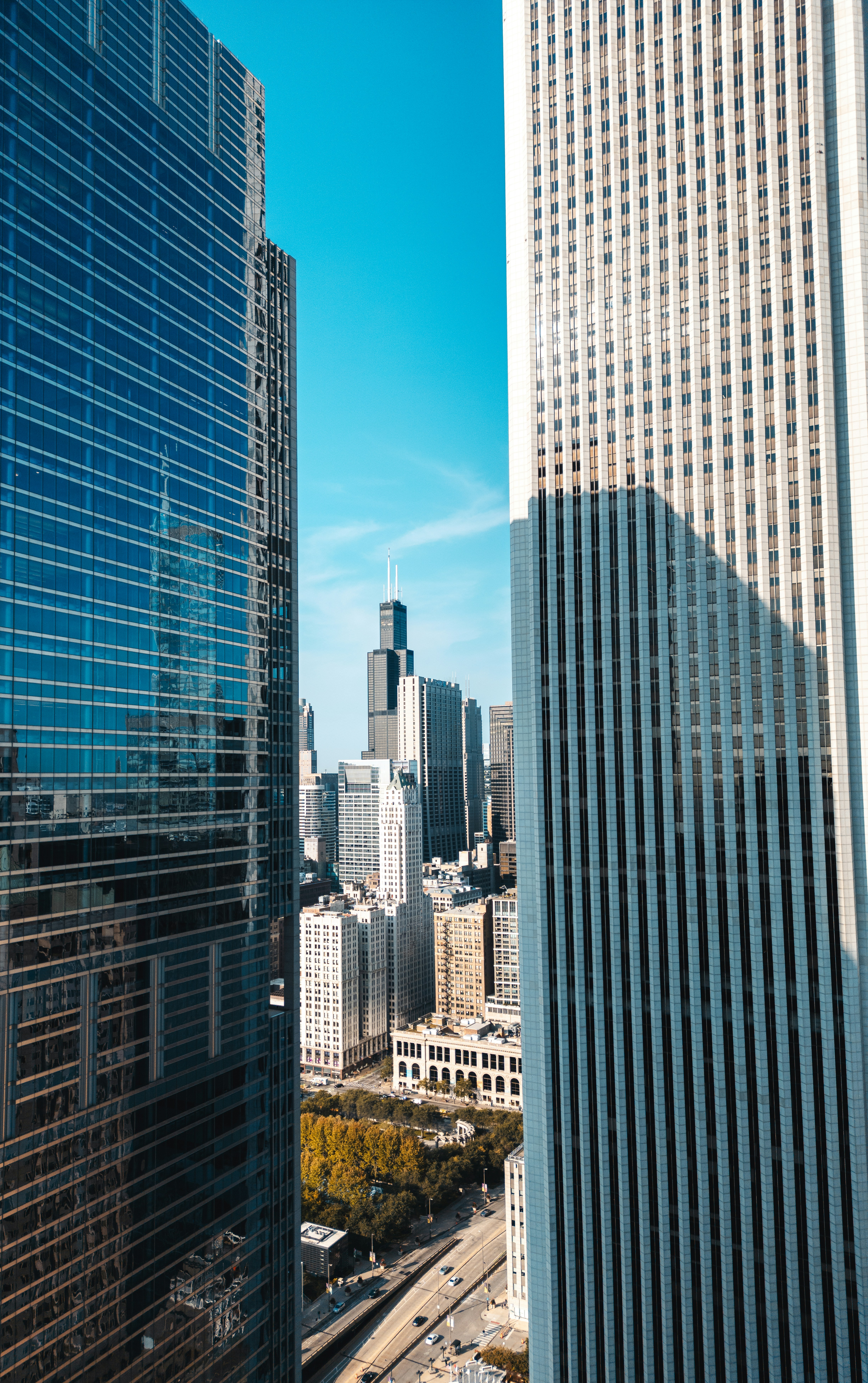 Photo by willianjusten