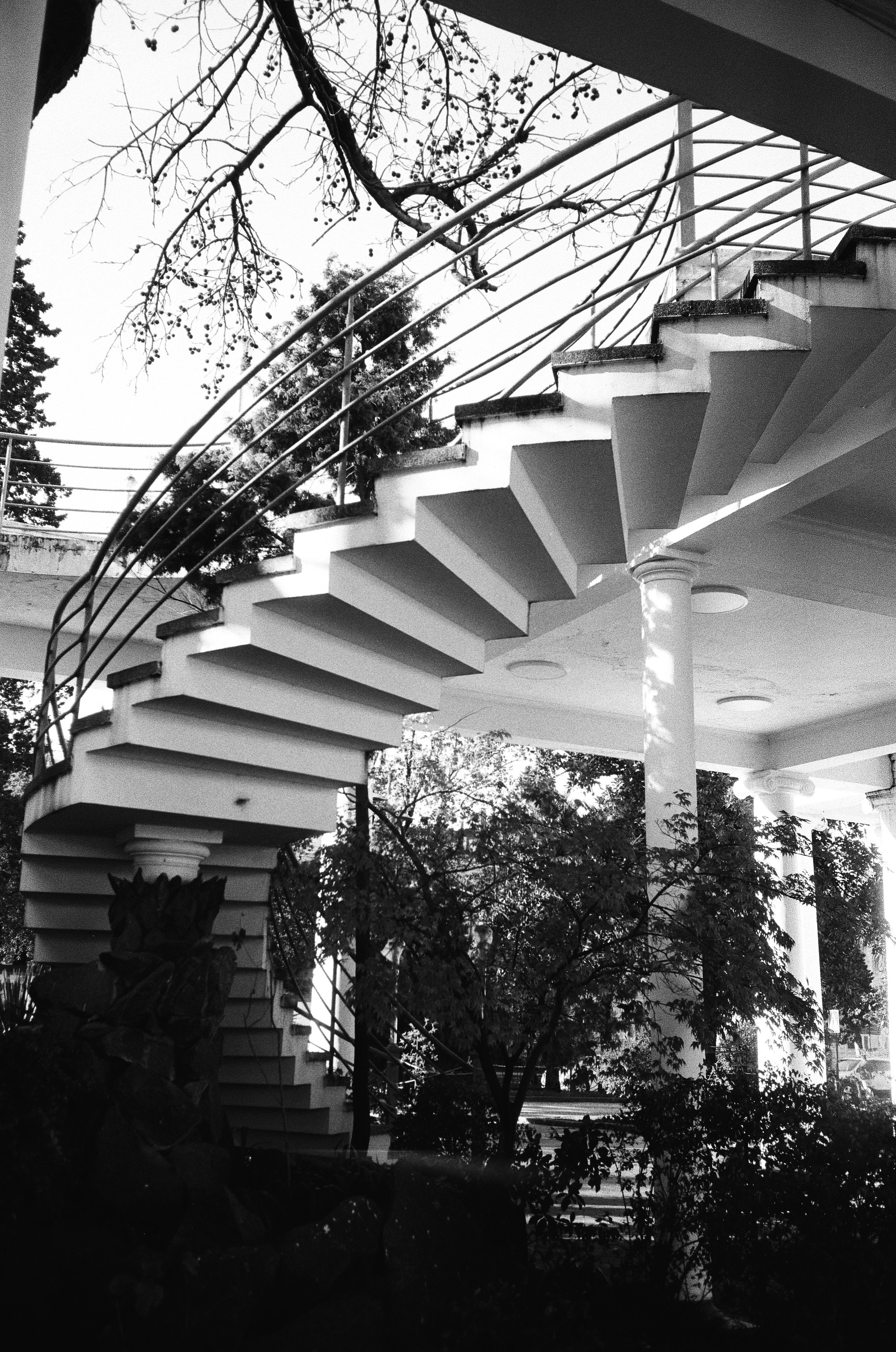 A black and white photo of a staircase