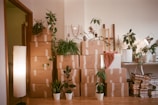 A room filled with lots of boxes and plants