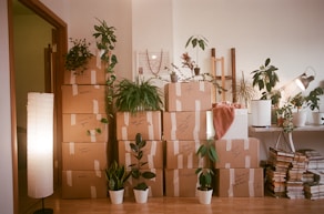 A room filled with lots of boxes and plants