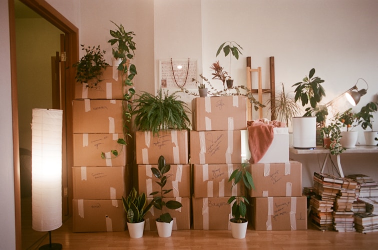 Cartons dans un couloir le jour du déménagement