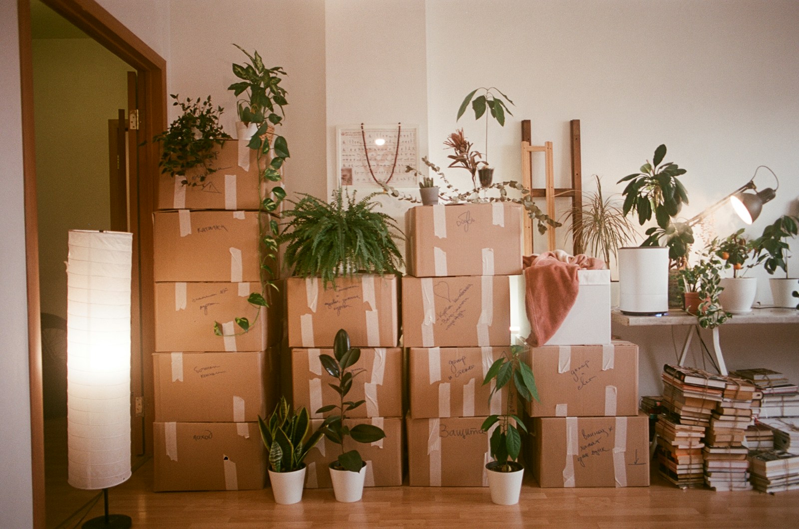 5 Signs You’re Ready to Move