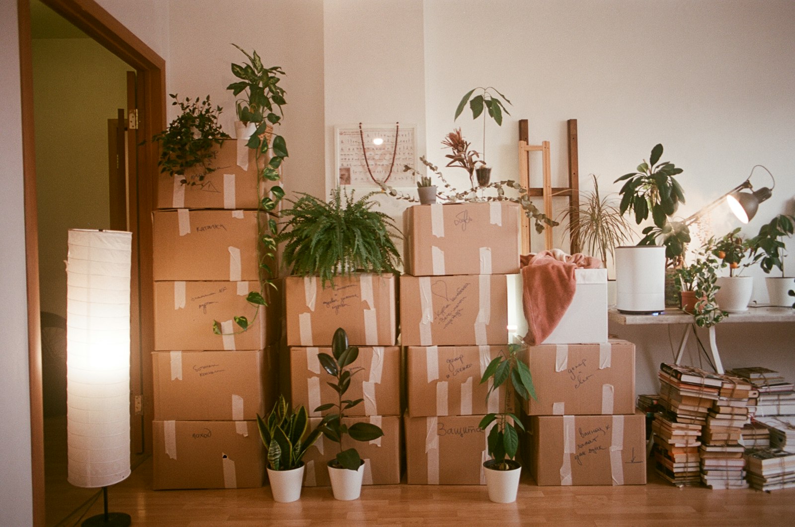 Room filled with moving boxes during a move to a new home