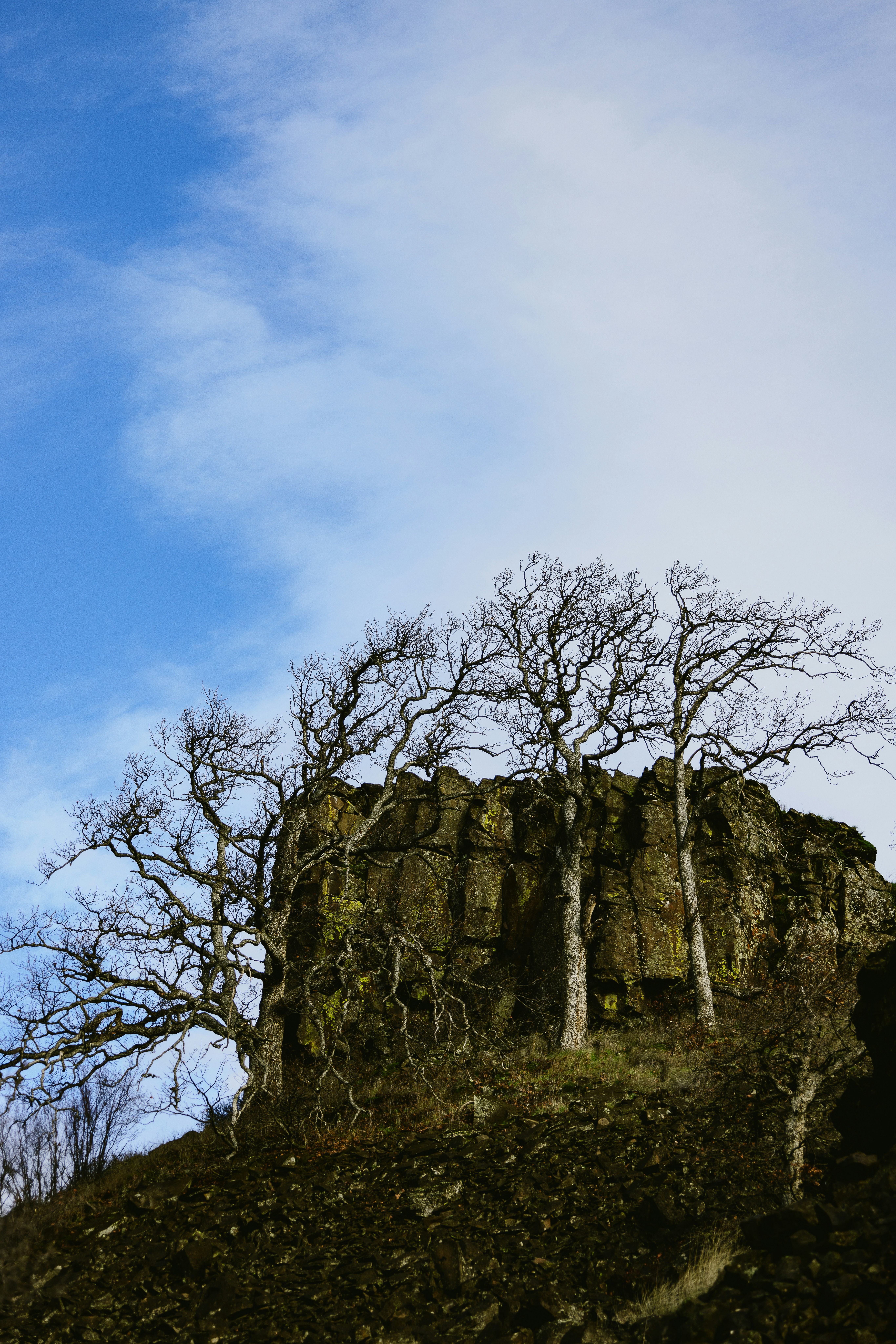 A large rock with trees on top of it