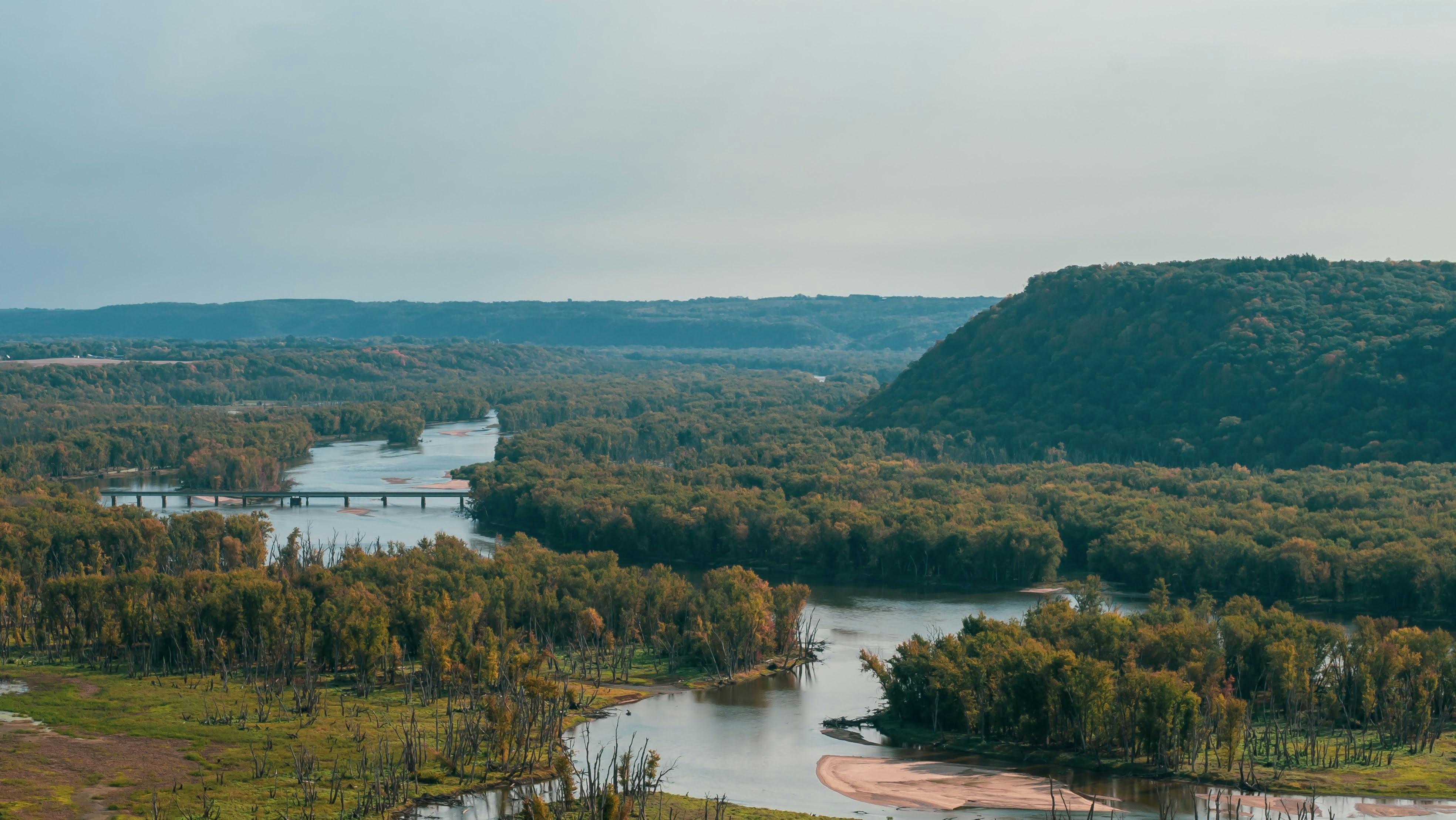 A river running through a lush green forest