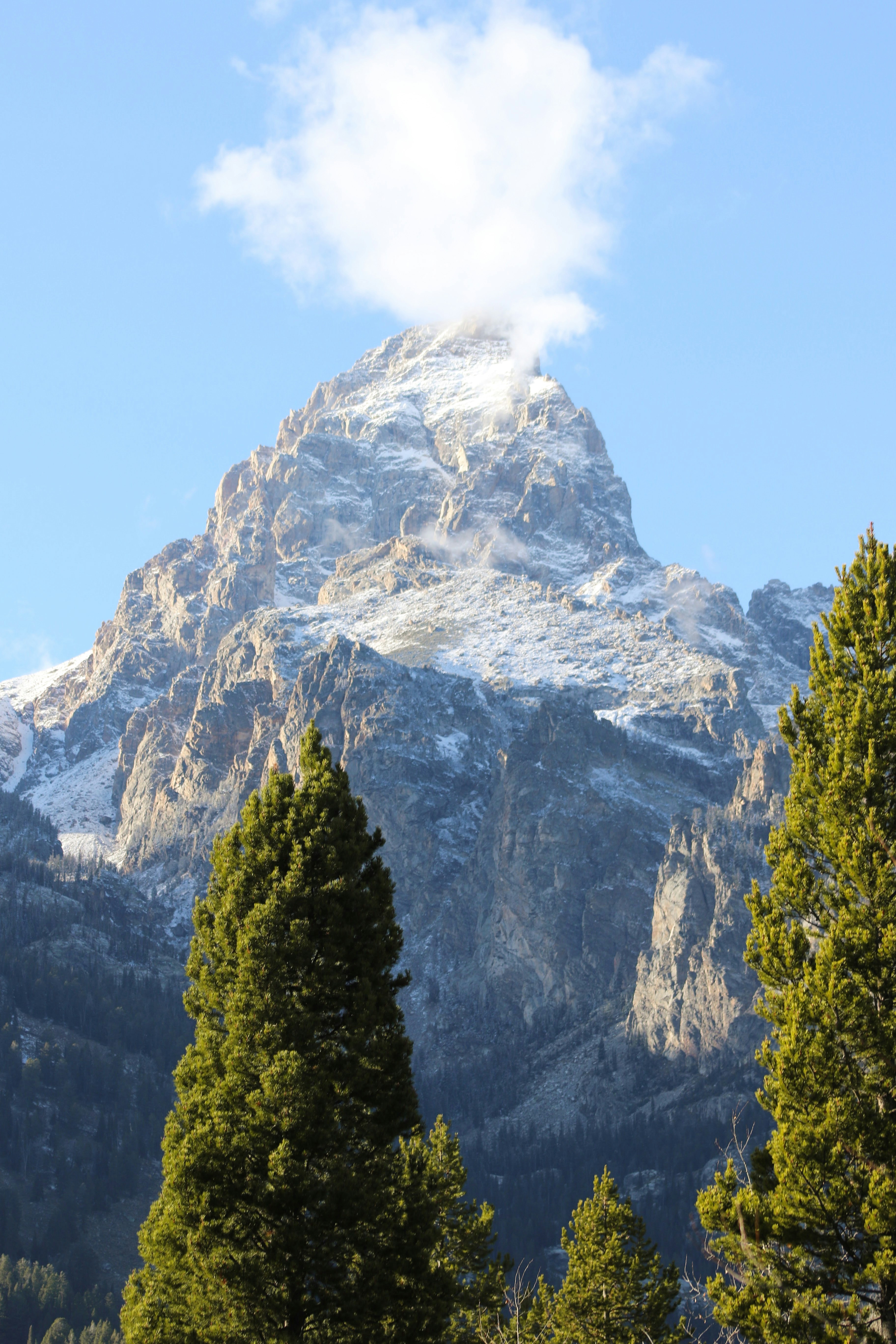 A snow covered mountain with trees in the foreground