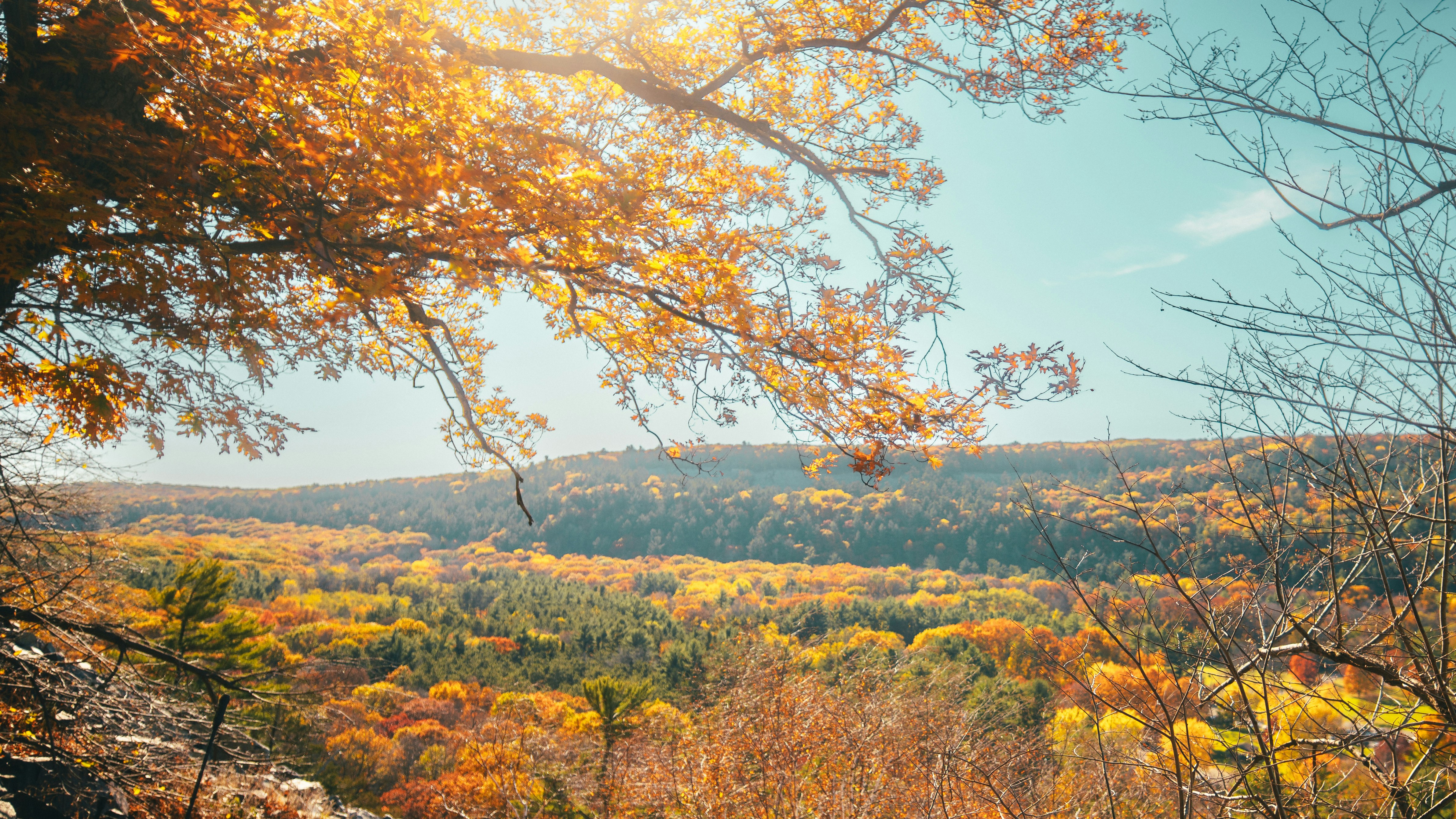 Photo by chris_lynch_