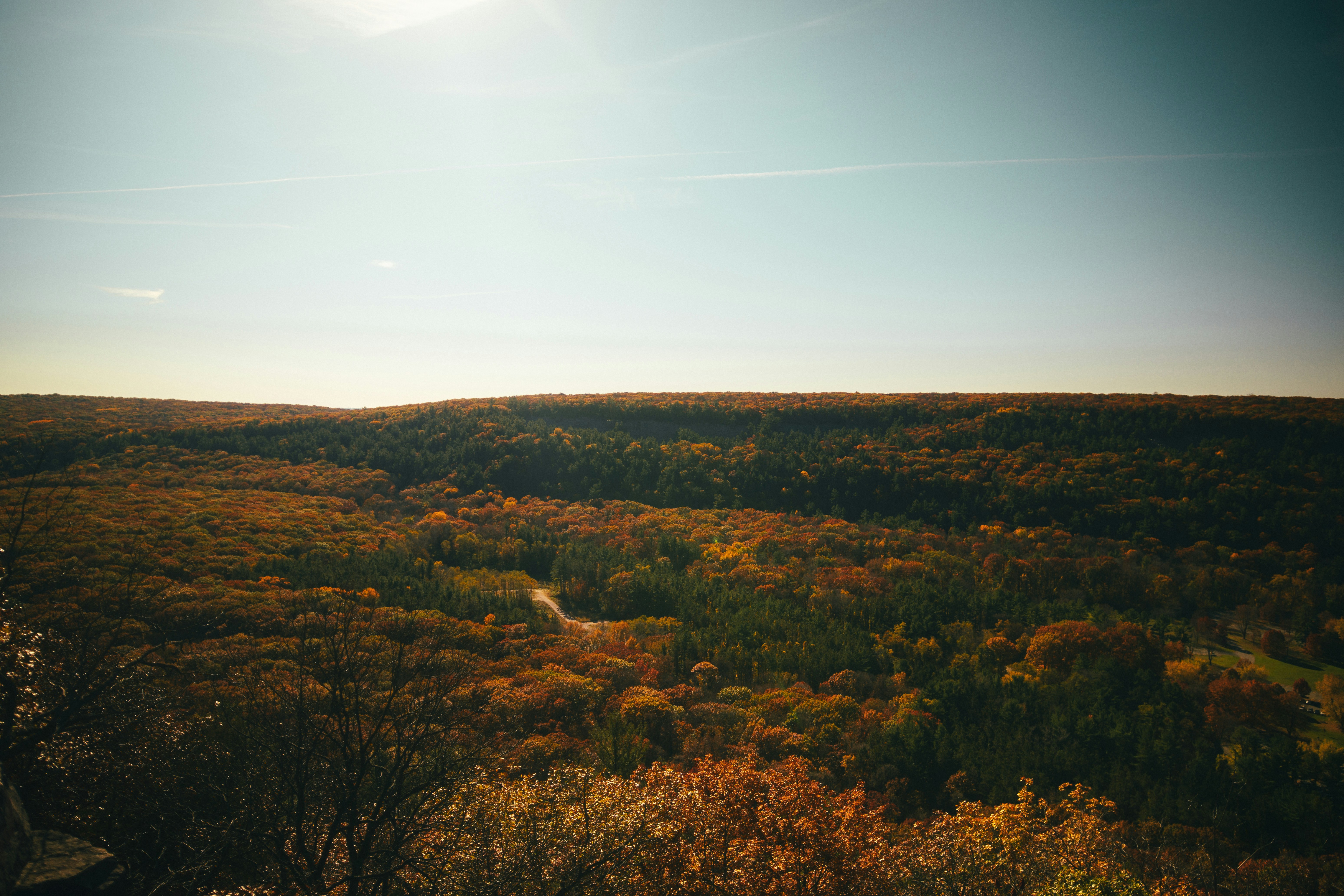 Photo by chris_lynch_