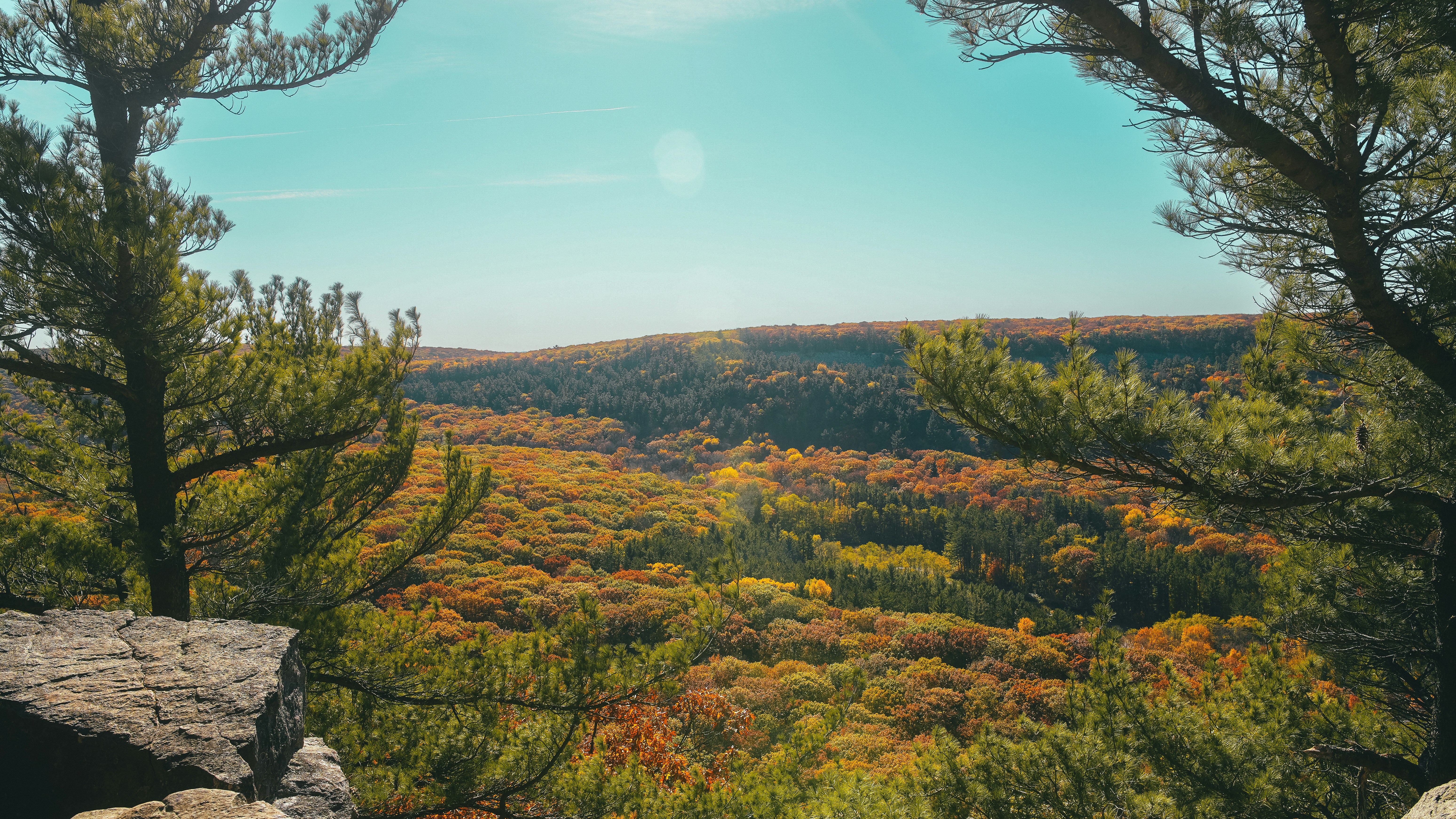 Photo by chris_lynch_