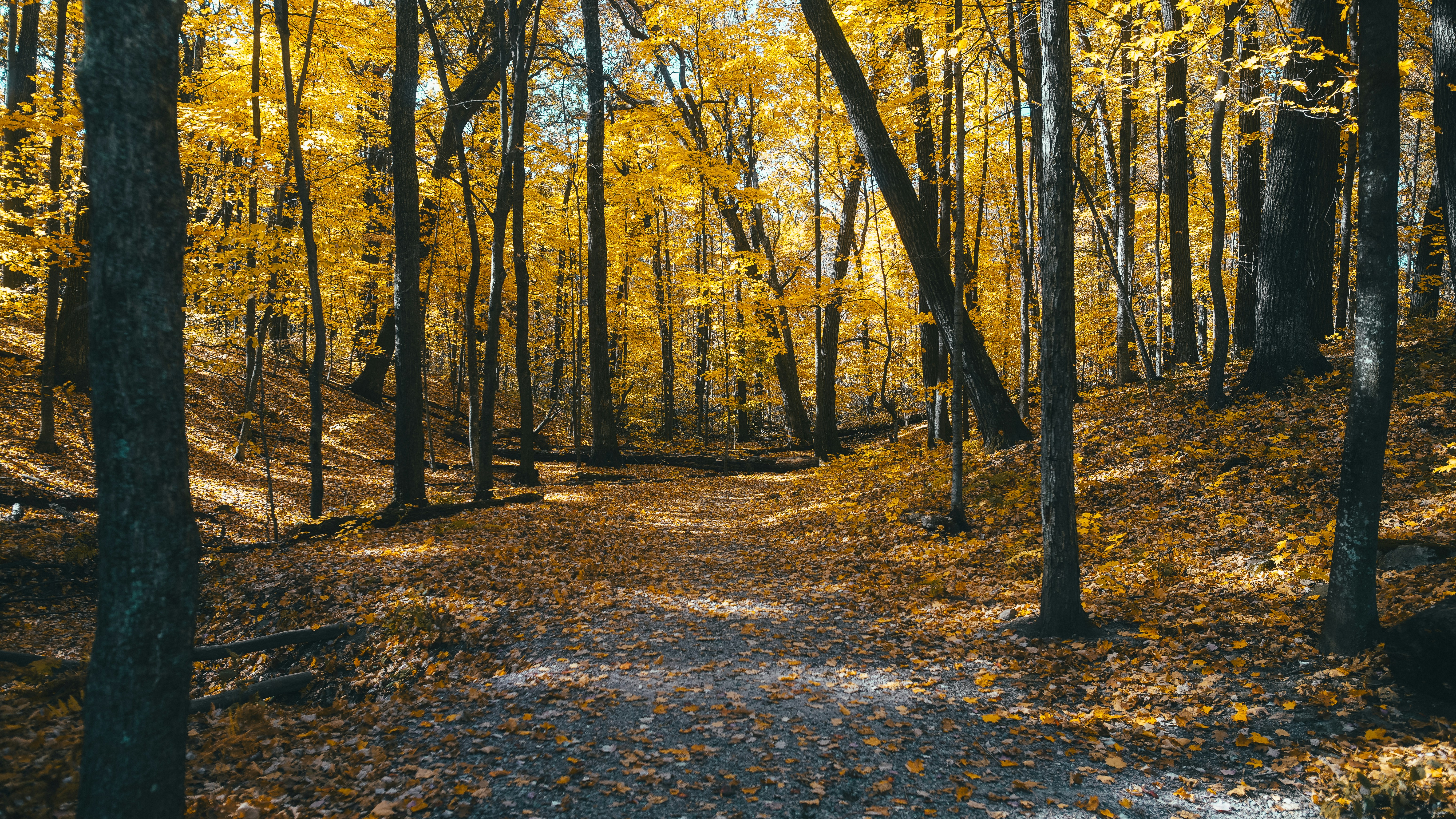 Photo by chris_lynch_