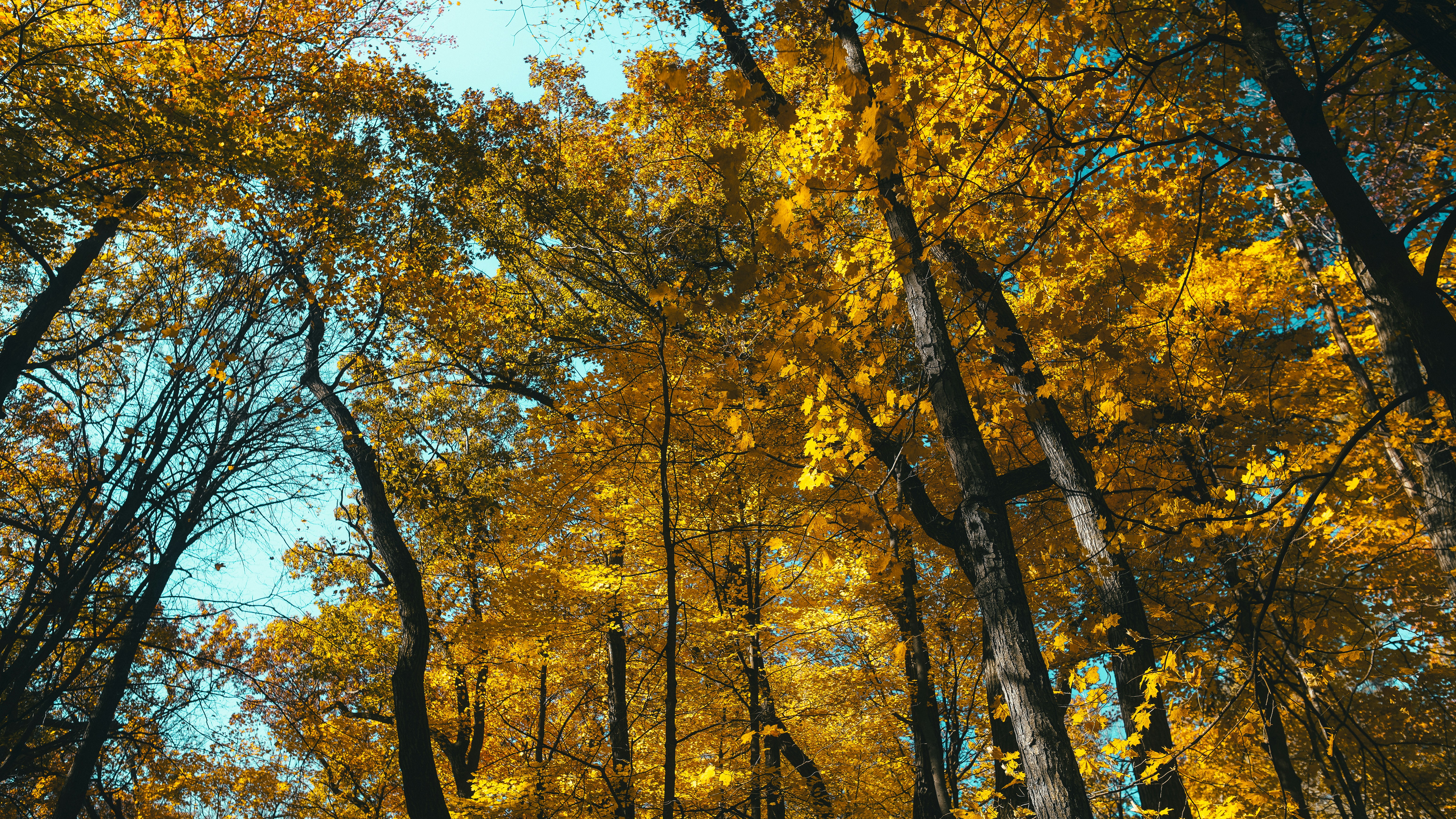 Photo by chris_lynch_