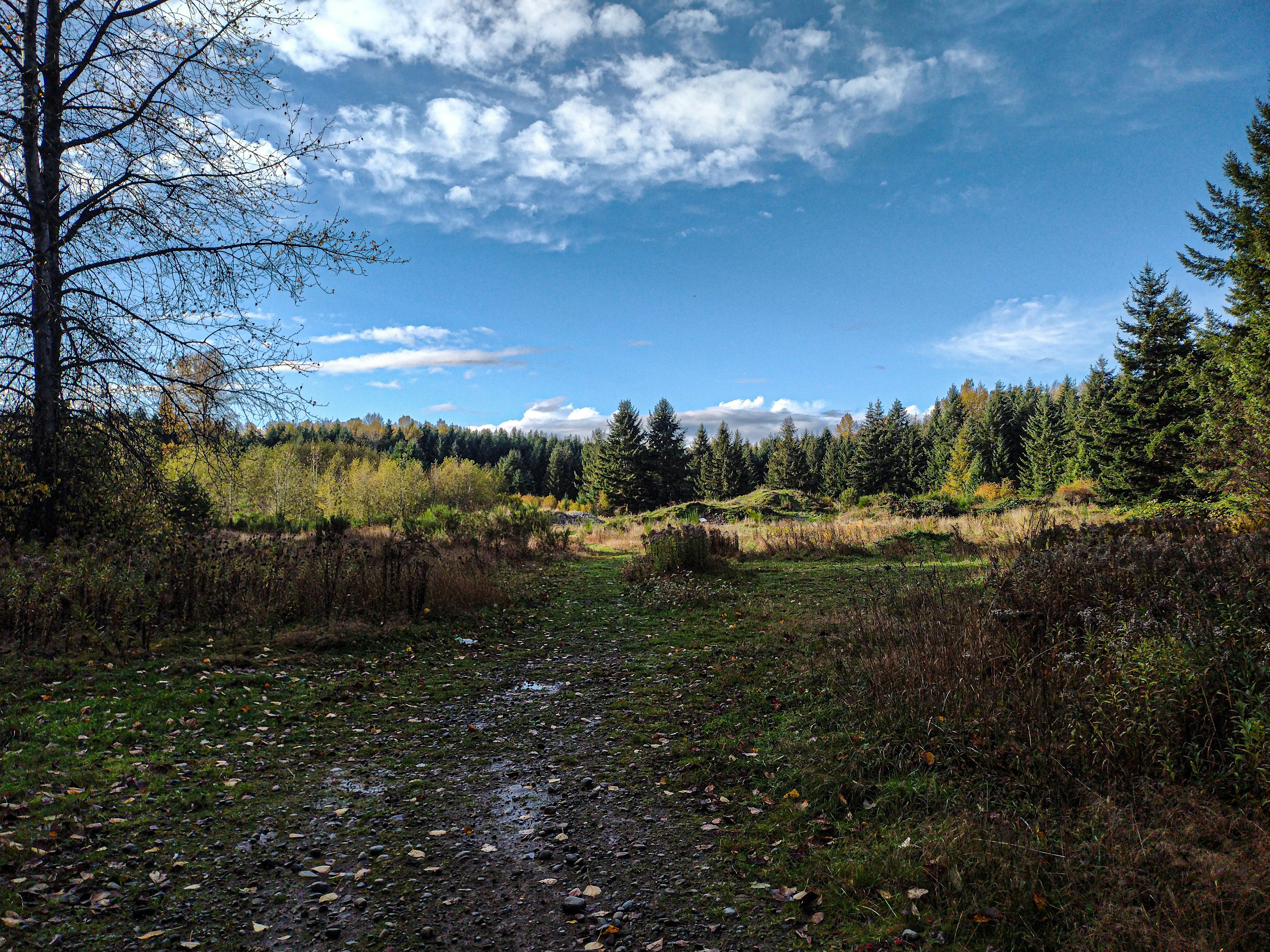 Photo by prphotography262