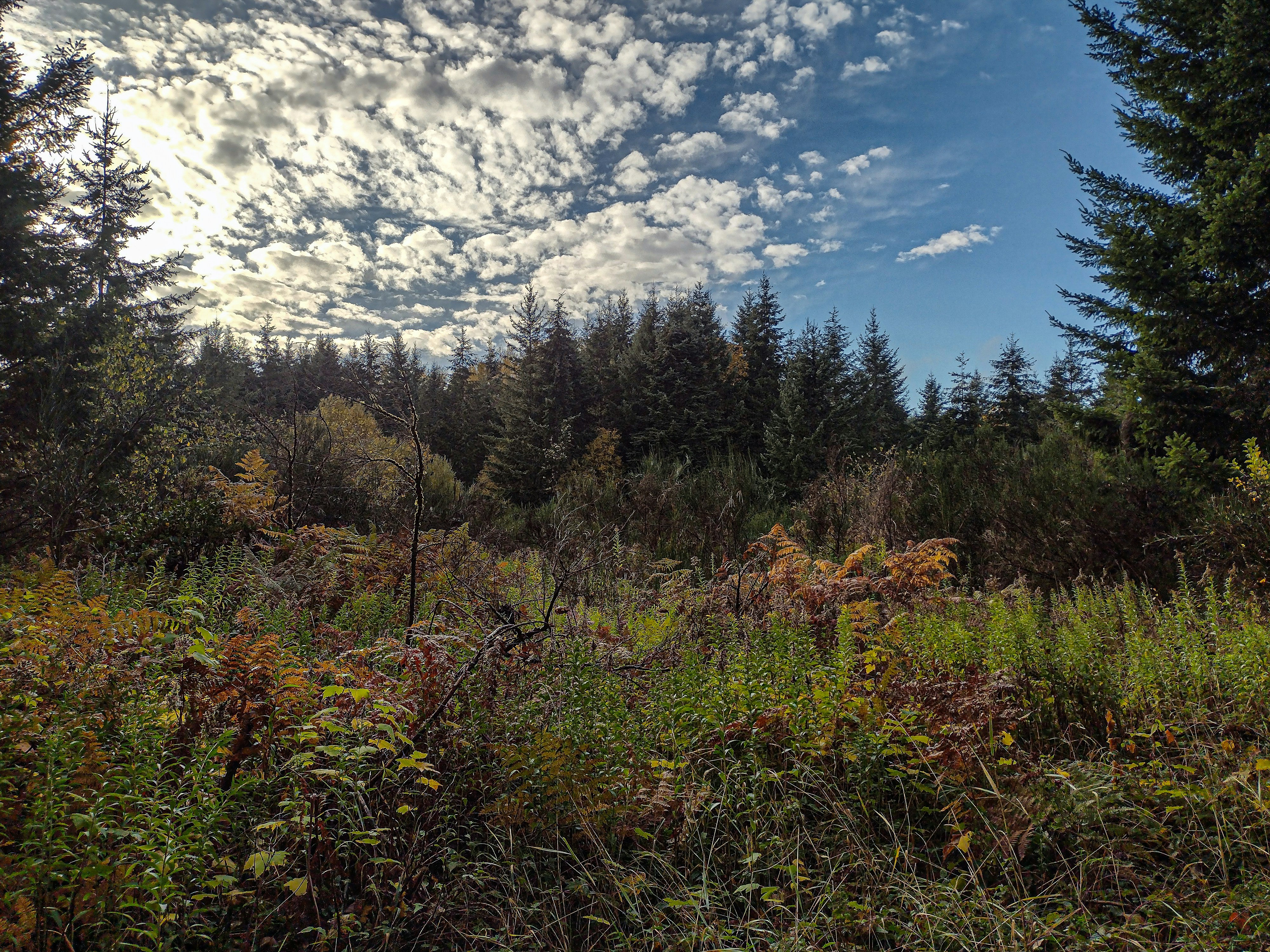 Photo by prphotography262