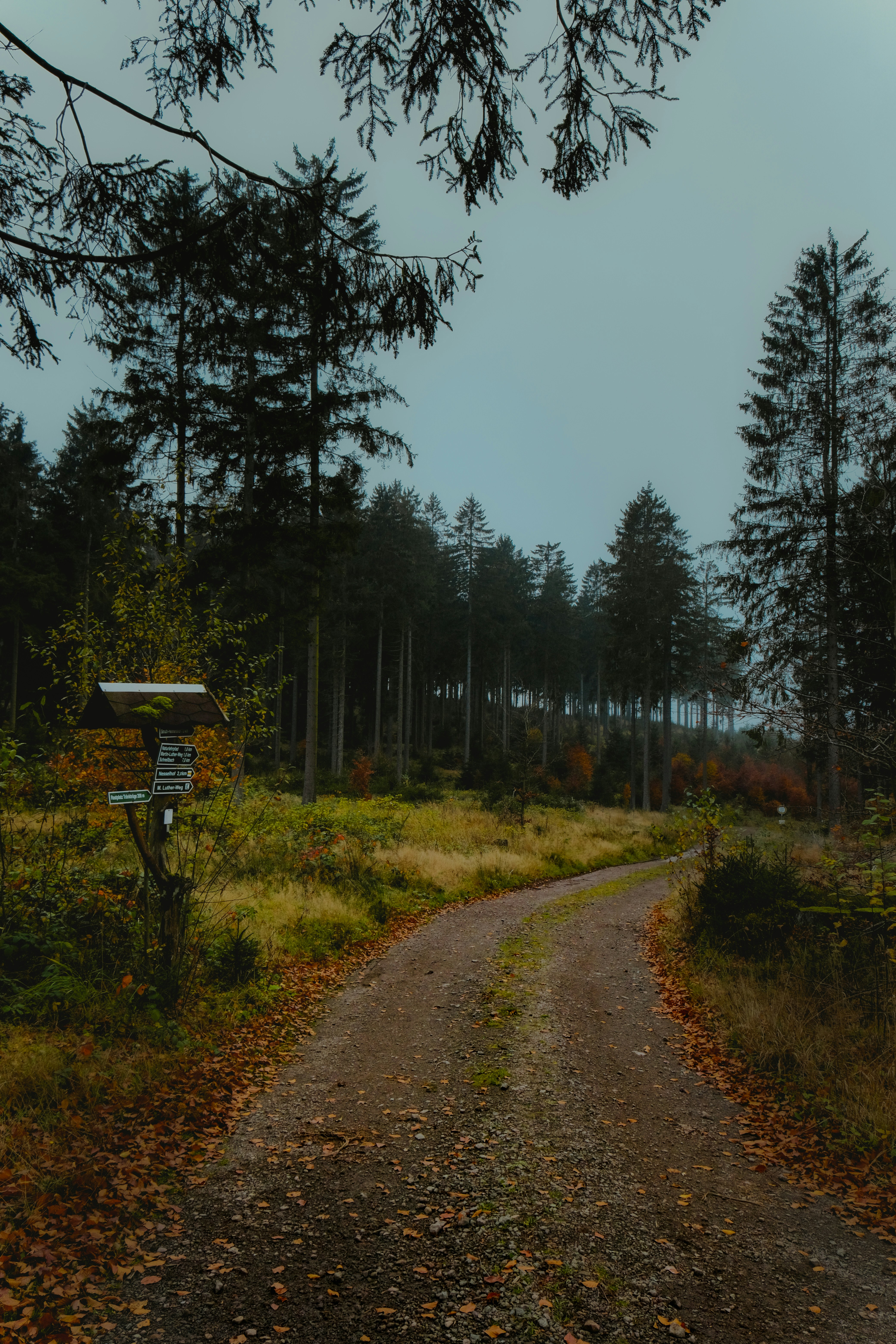 Photo by denisaficau