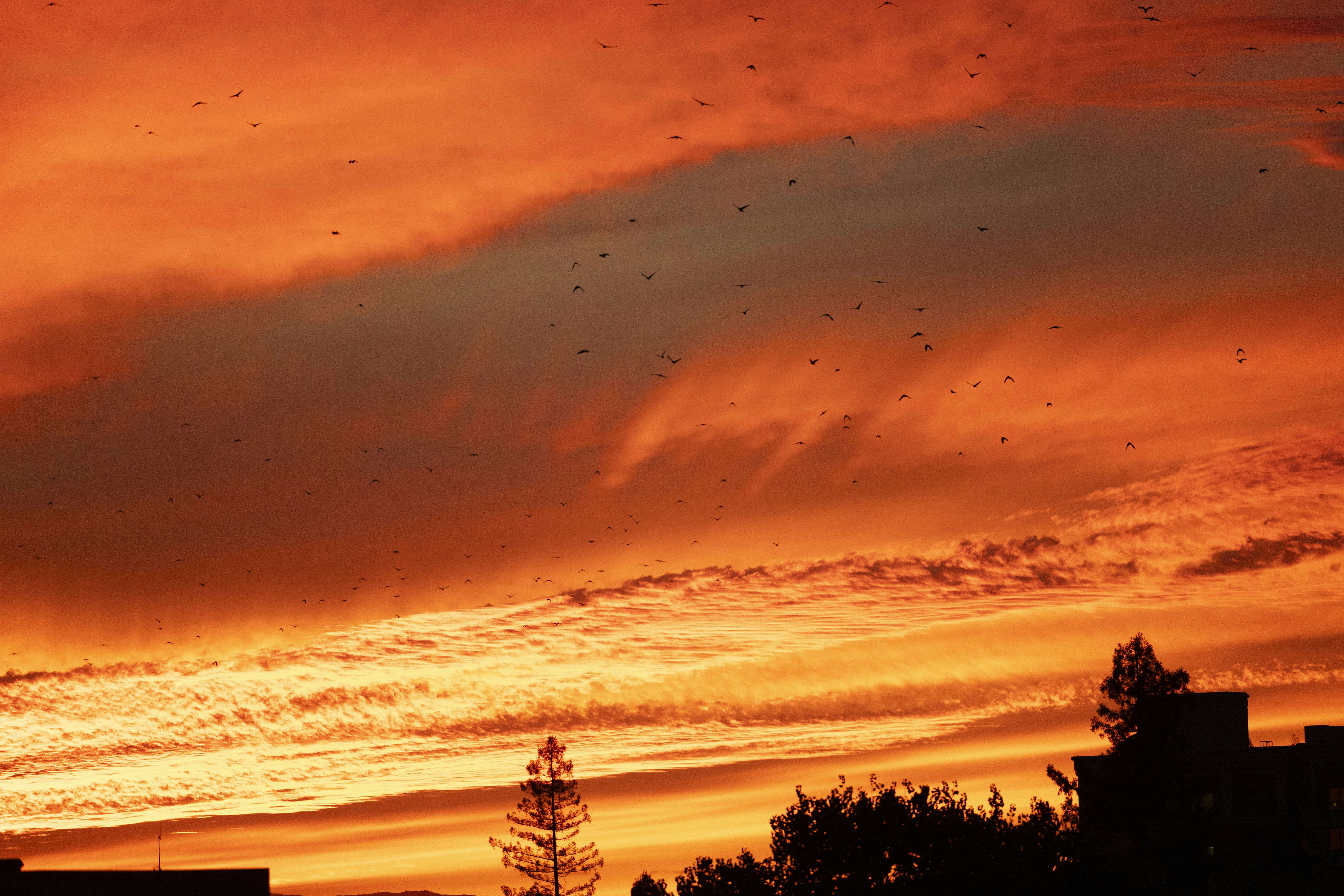 Photo by leo_visions_