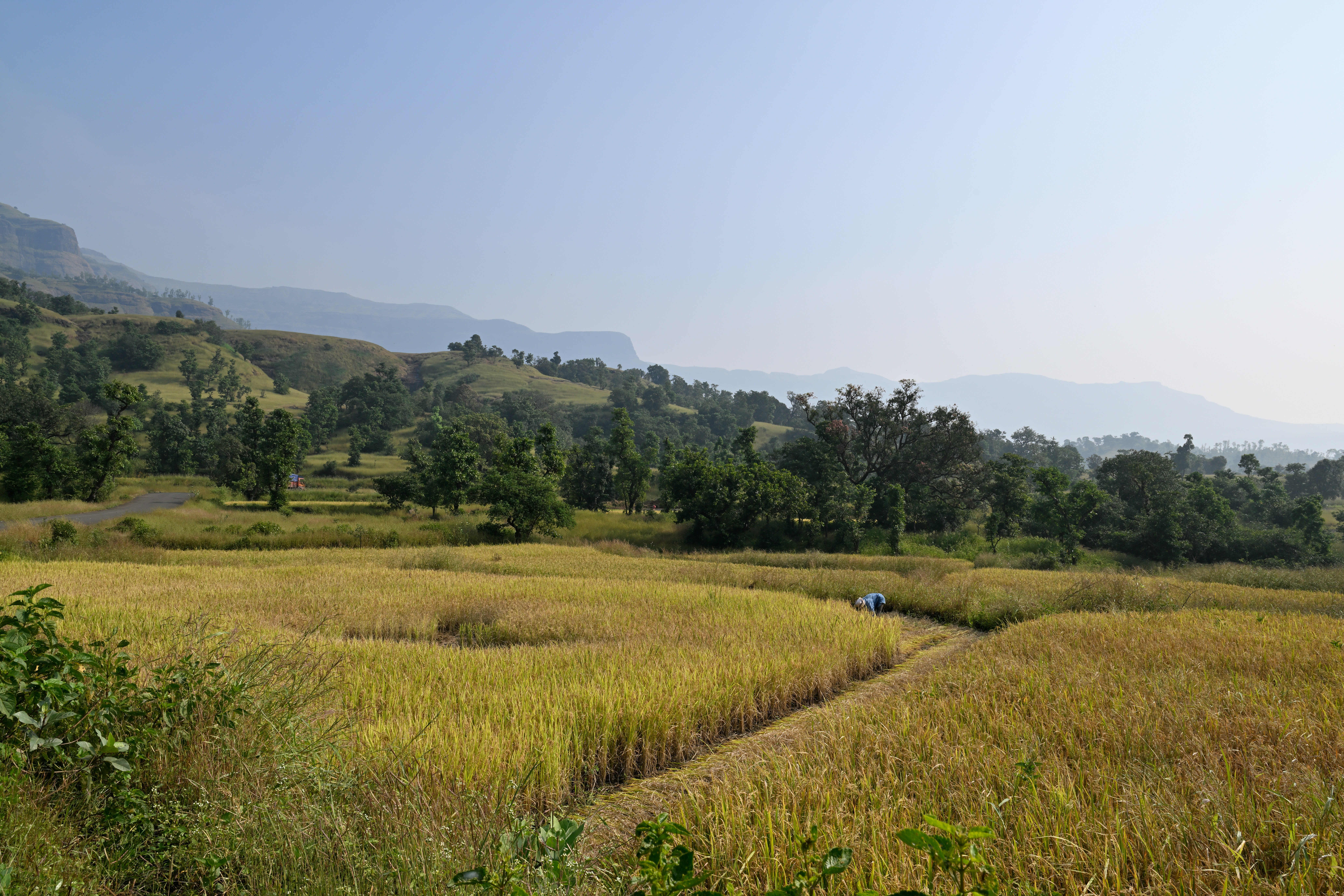 Photo by saptarangphotography