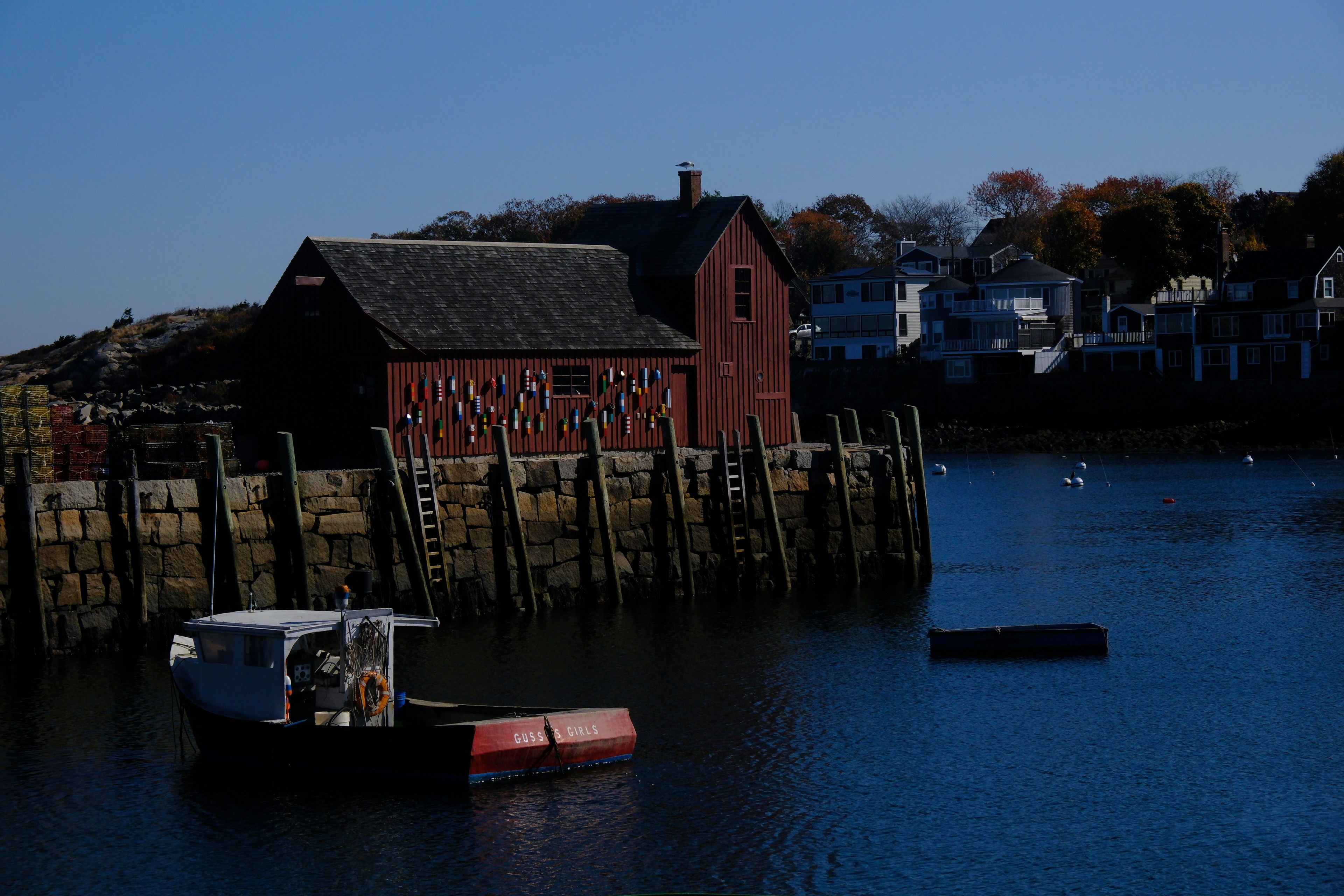 Photo by anddremoraes