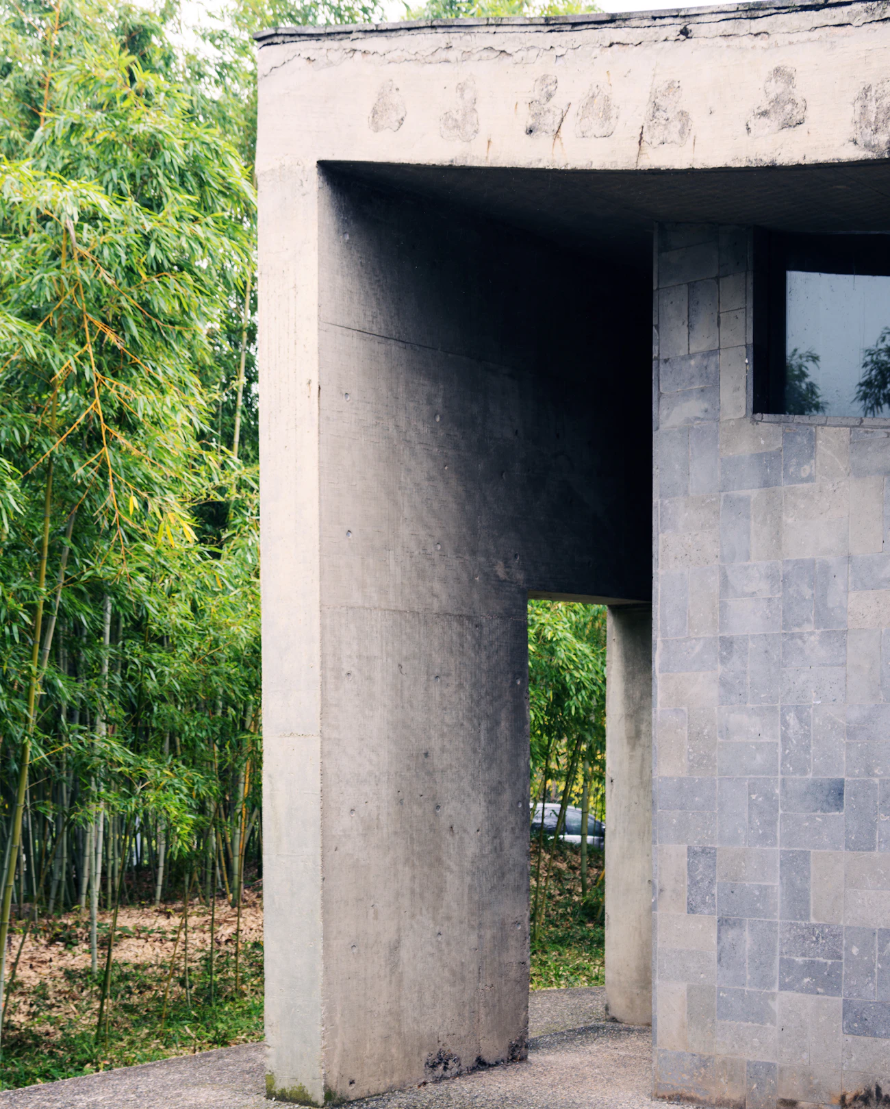 Opening towards the bamboo