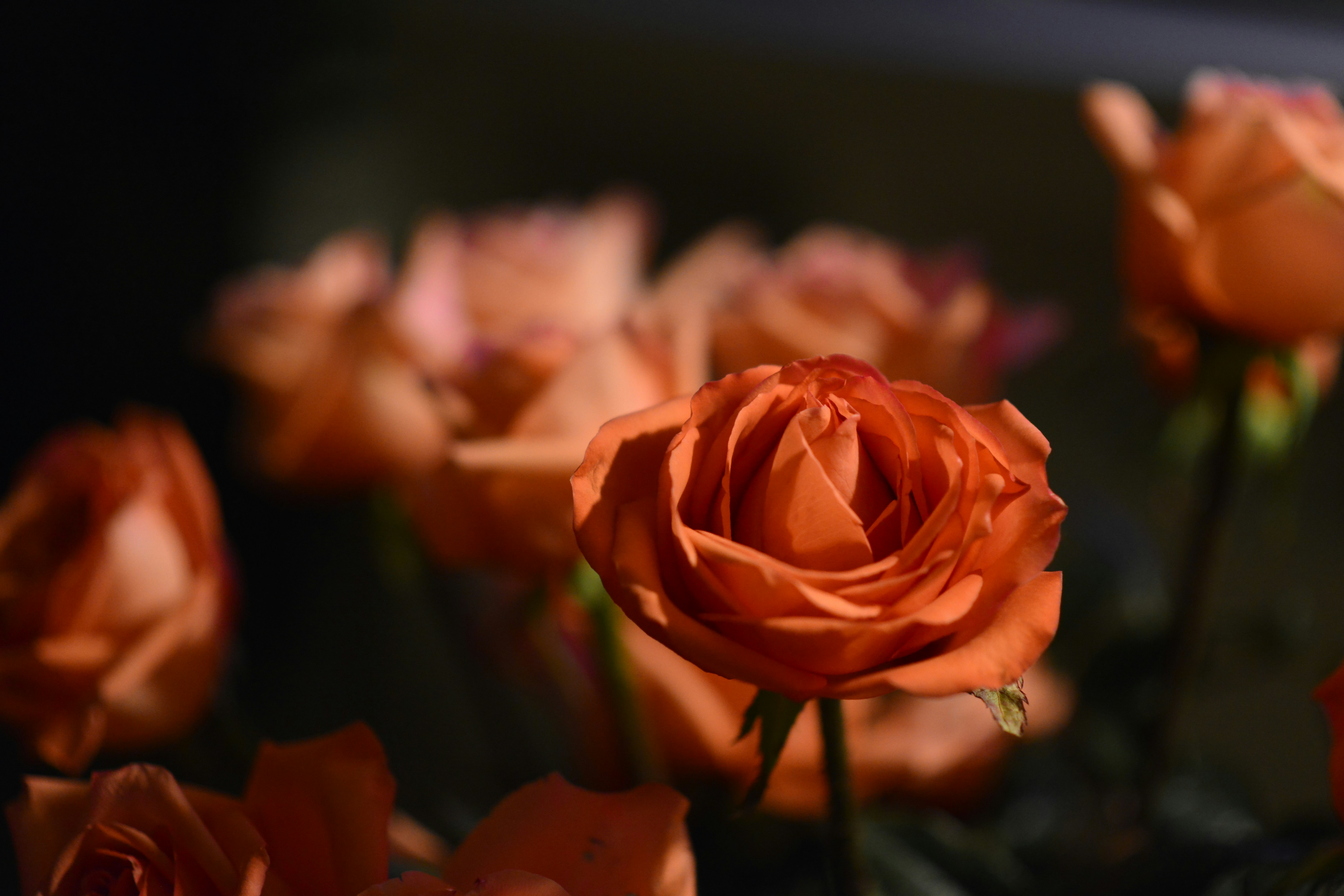 Photo by sirwanghaoran