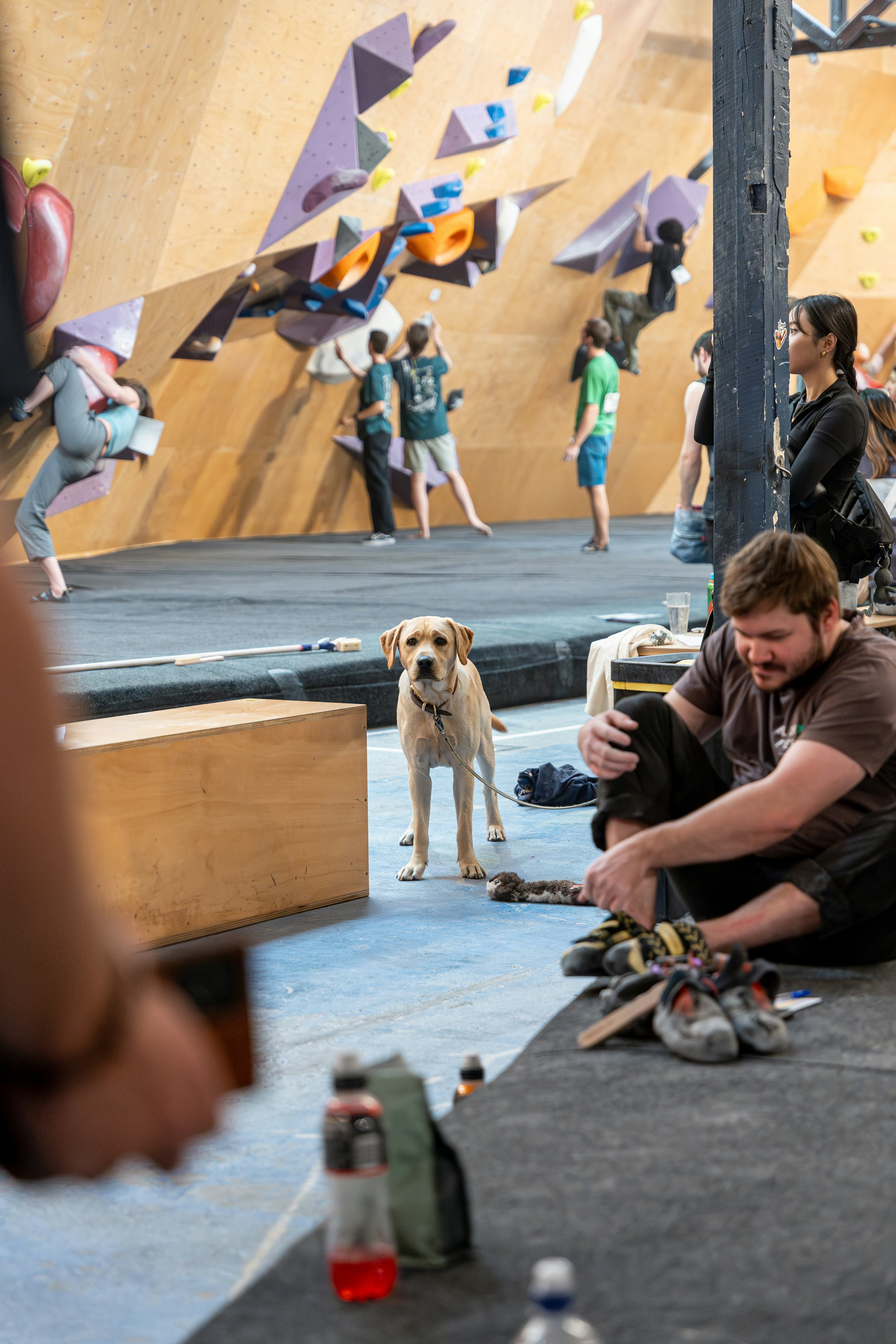 earthy tone gym, wallpaper, Low Budget Home Gym: Earthy Tones & Fitness 4