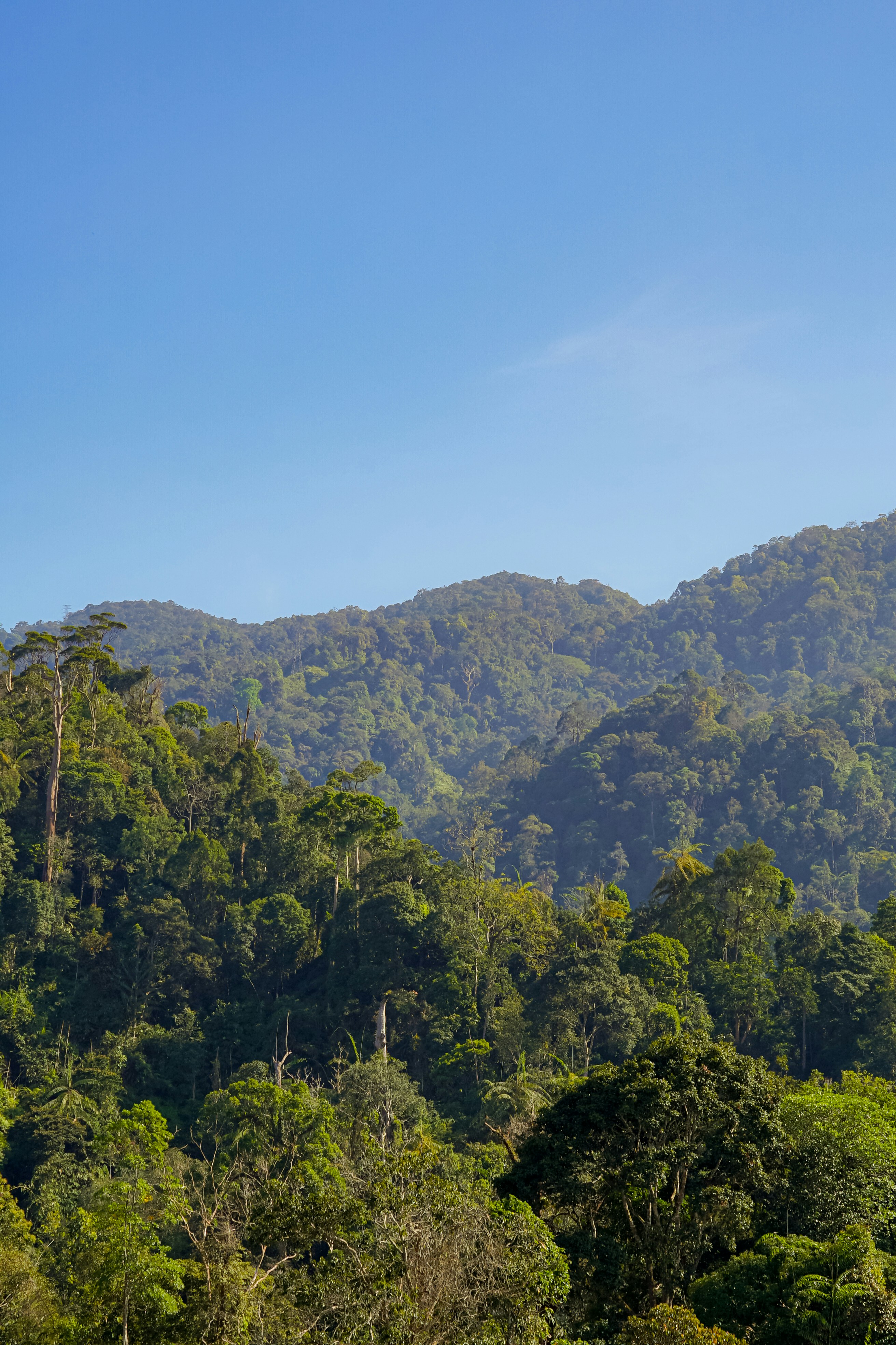 Photo by charliesuchart