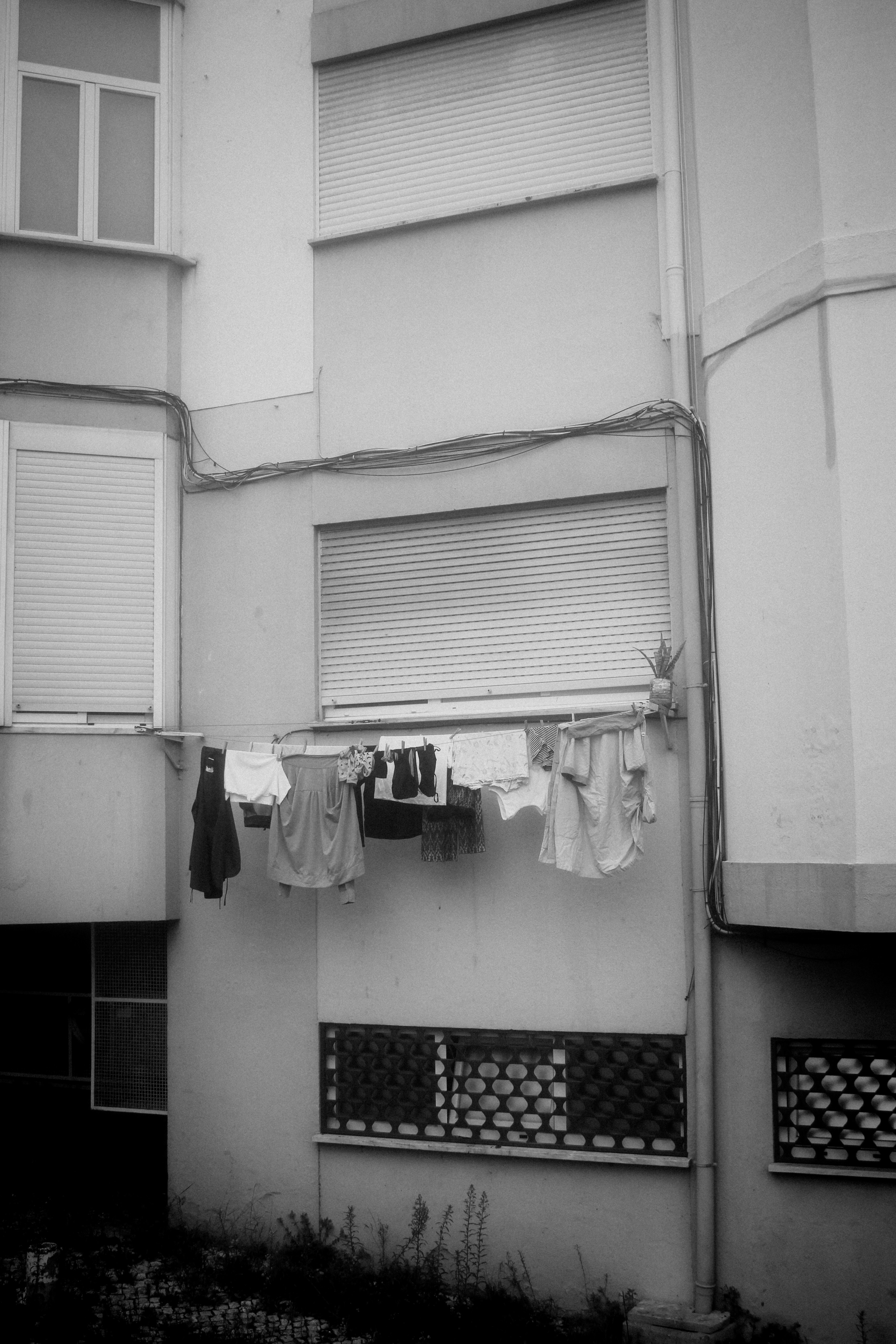 Photo by omarcelorangel
