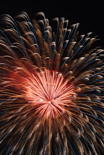 A large fireworks is lit up in the night sky