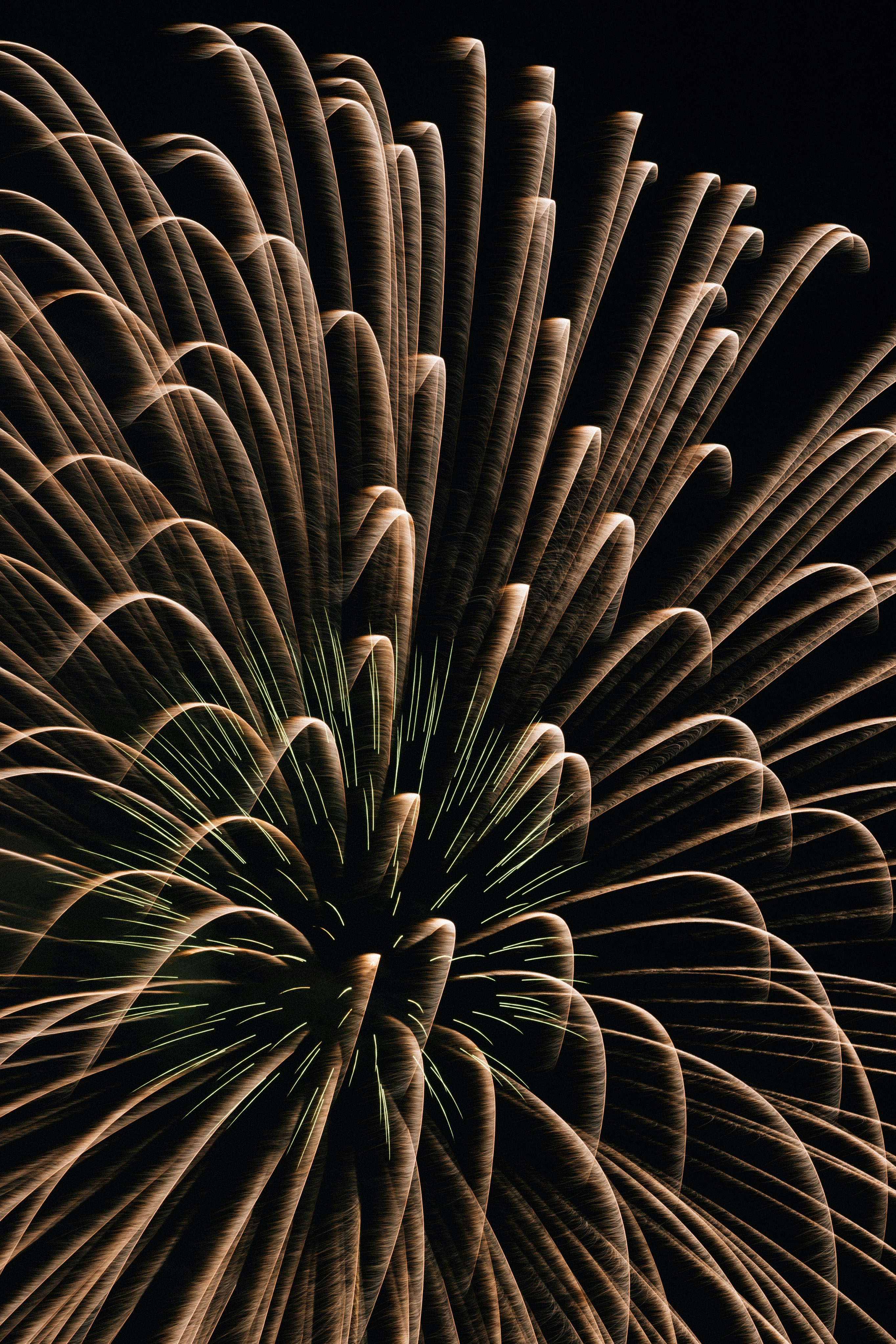 Photo by tsuyoshikozu