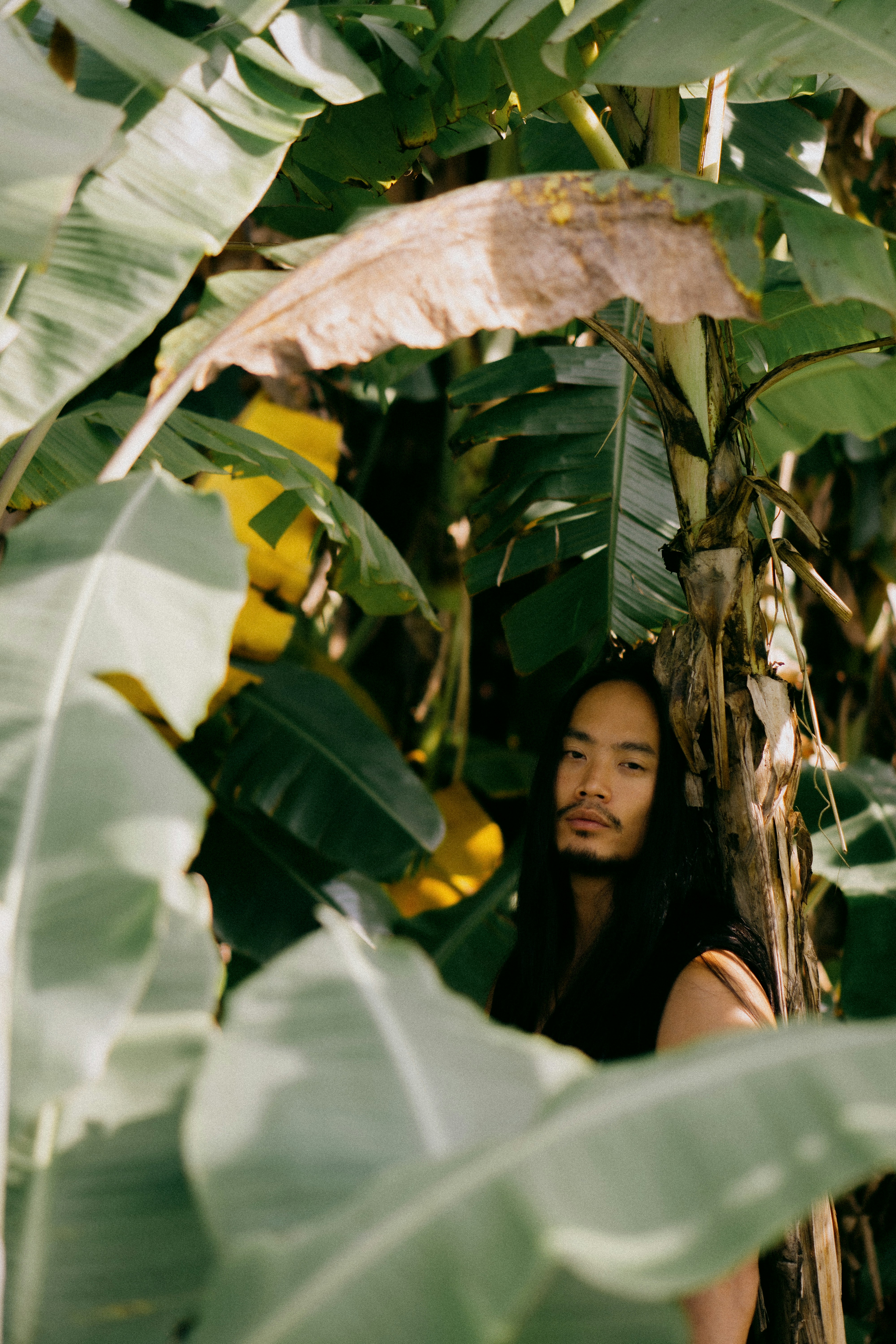 A man hiding behind a bunch of bananas