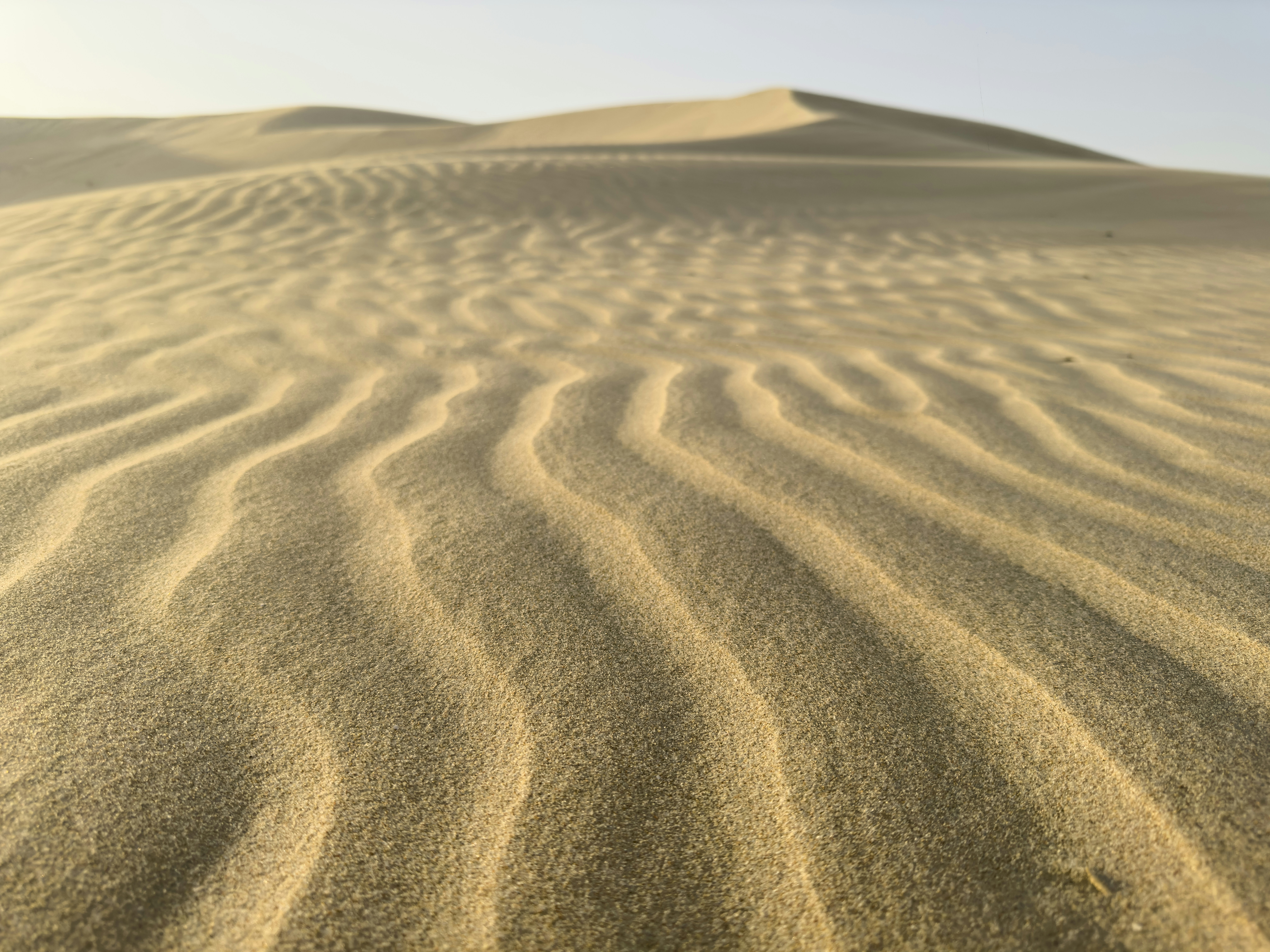 Photo by enginakyurt