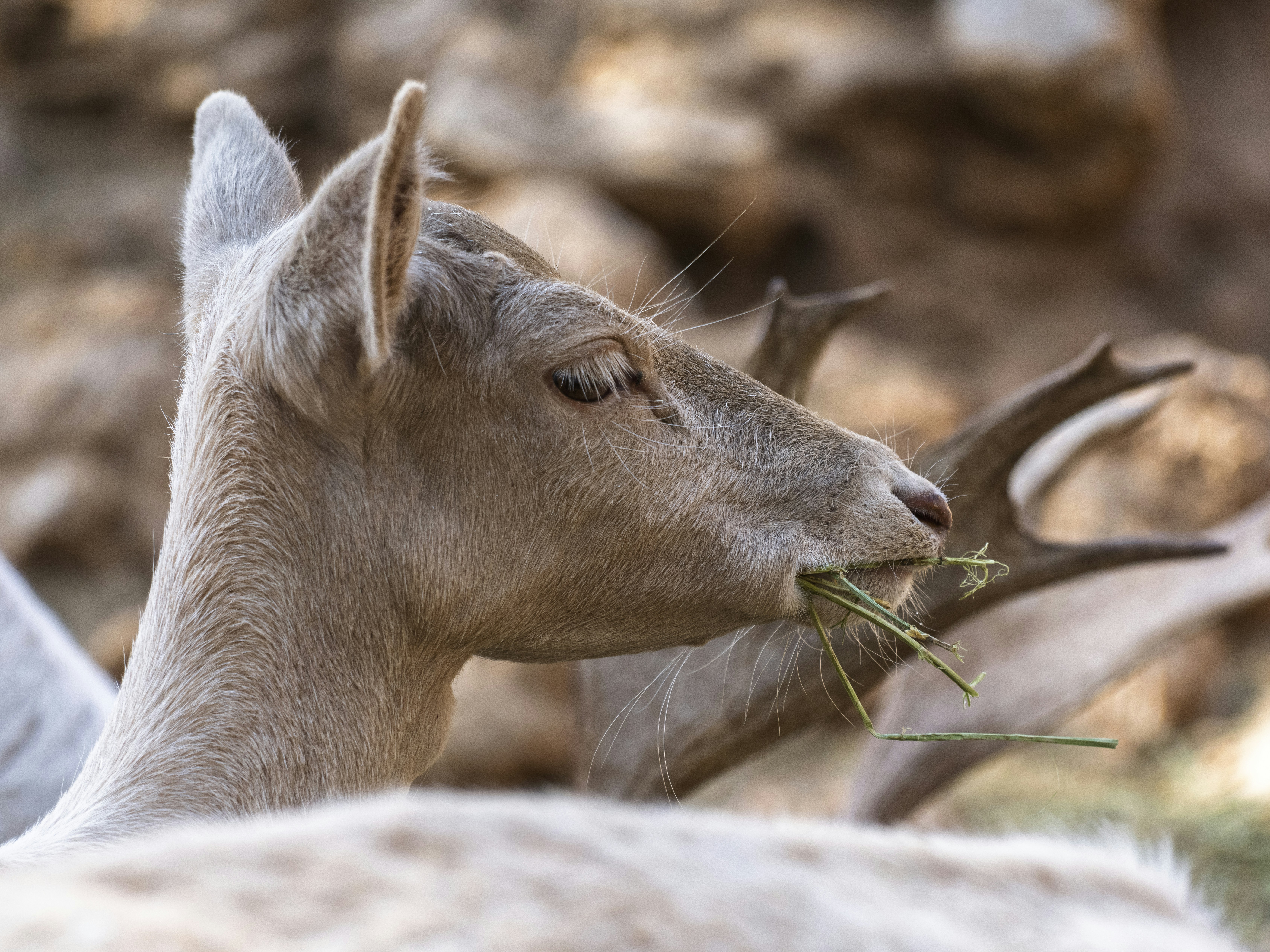 Photo by enginakyurt
