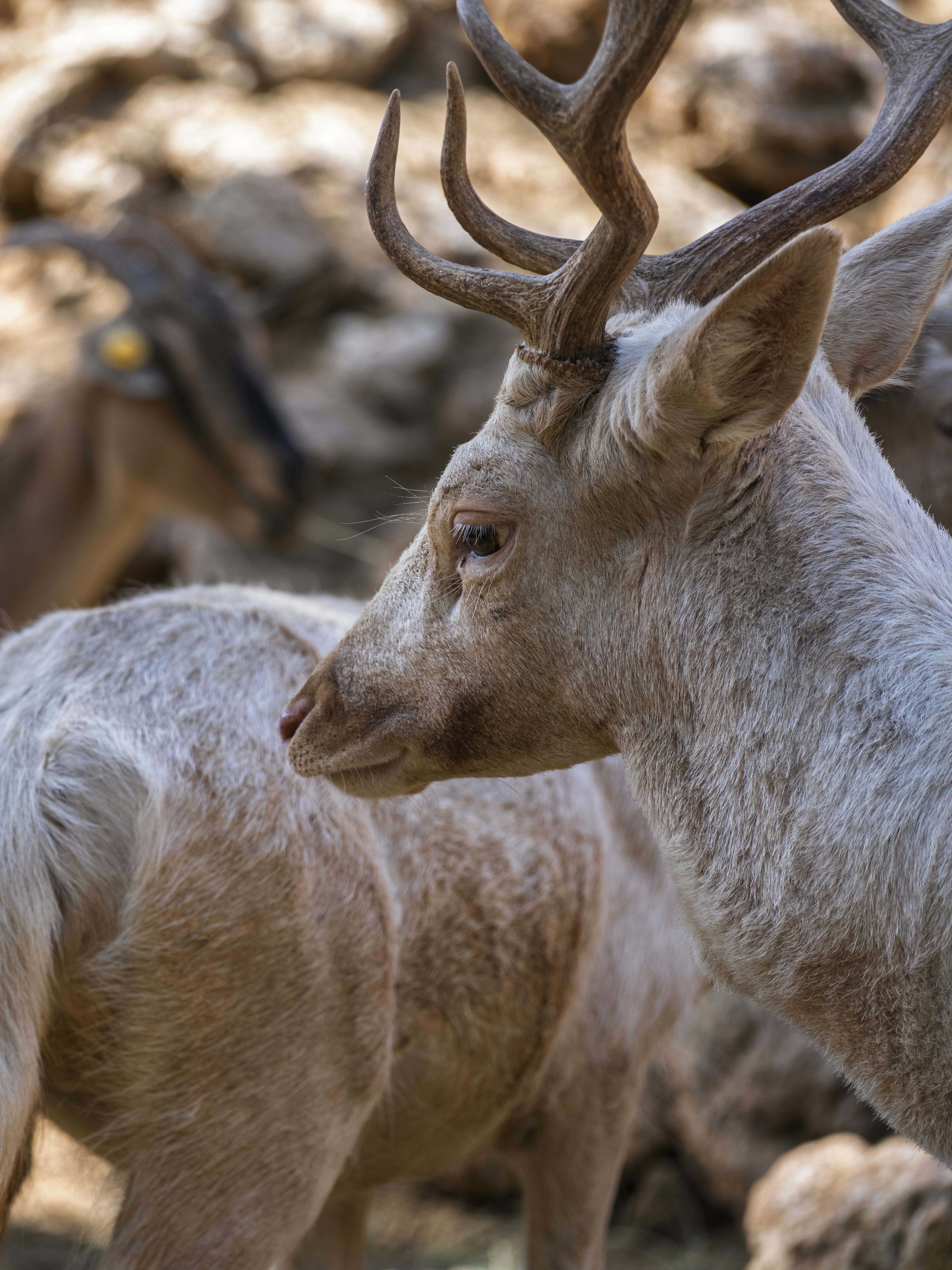 Photo by enginakyurt