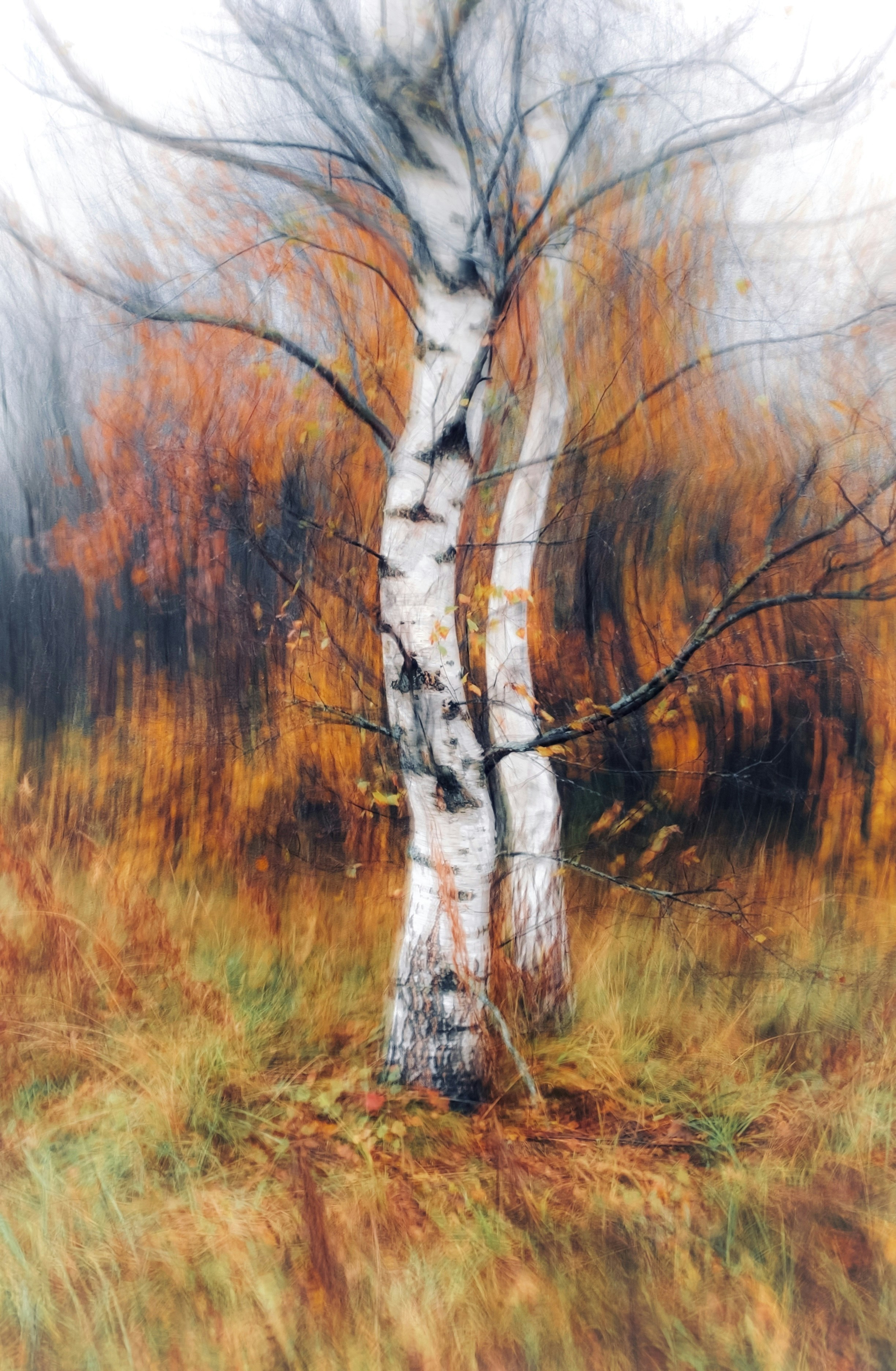 Photo by eugene_golovesov